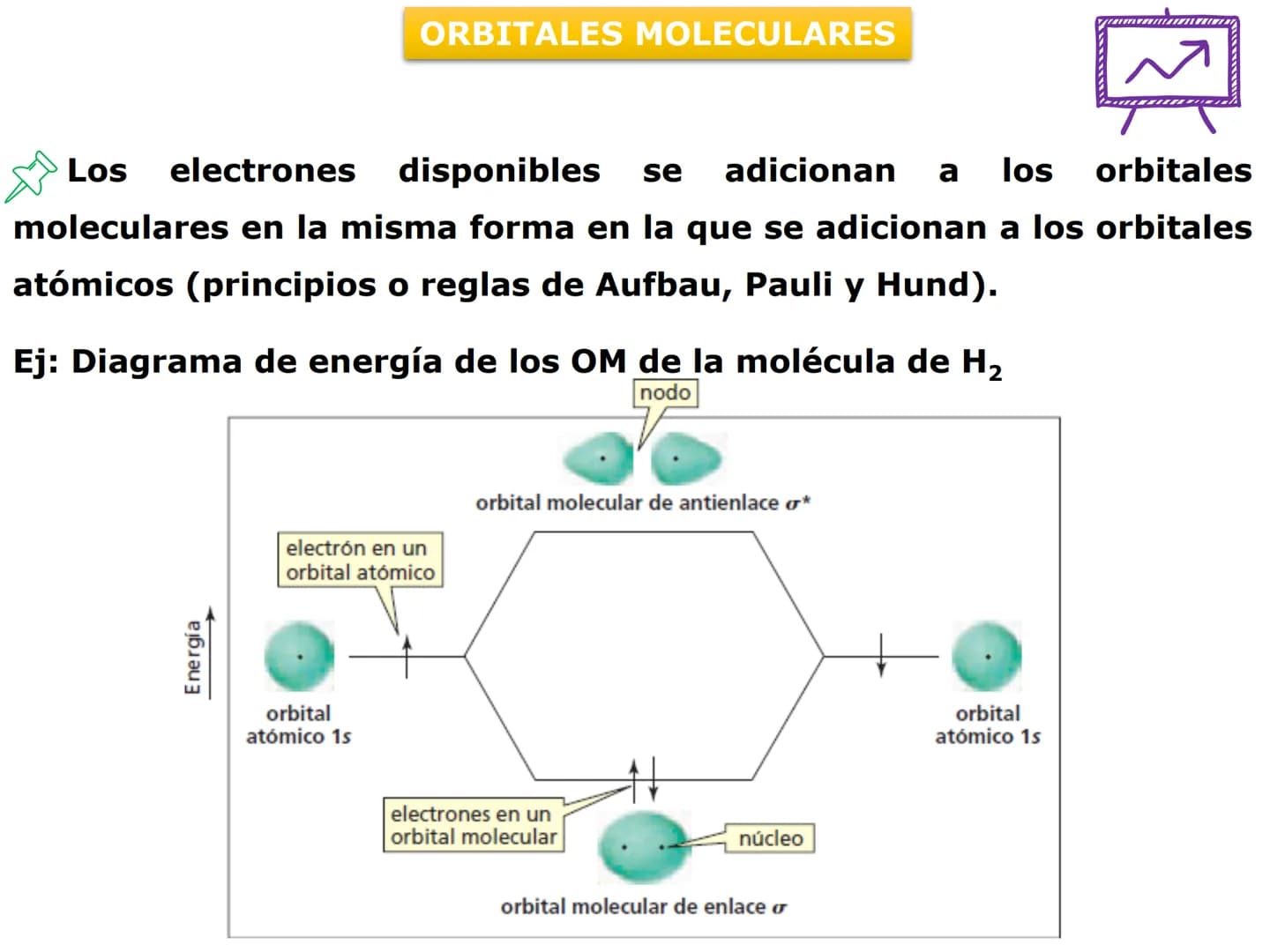 H
OH
OH
OH
ORGÁNICA Y BIC
QUÍMICA ORGÁNICA Y BIOLÓGICA
OH
OH
OH
HO
CH₃
OH
CARRERA: AGRONOMÍA
H
N
CH3
DOCENTES: Dra. Mariana Bonaterra
Dra. L