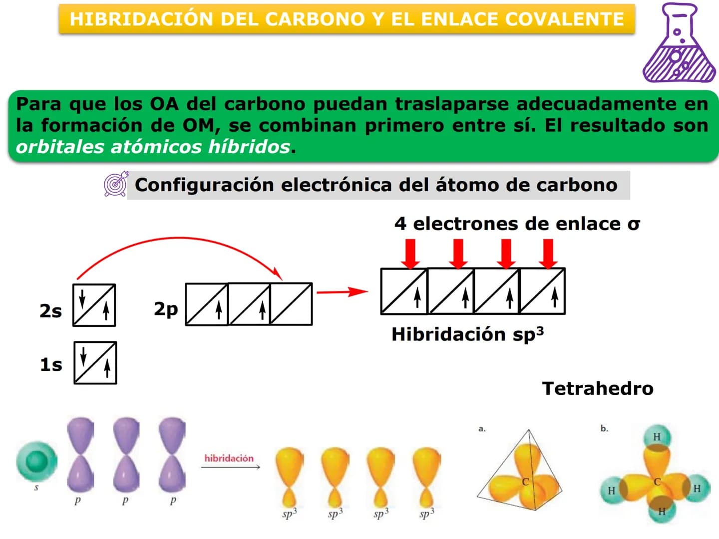 H
OH
OH
OH
ORGÁNICA Y BIC
QUÍMICA ORGÁNICA Y BIOLÓGICA
OH
OH
OH
HO
CH₃
OH
CARRERA: AGRONOMÍA
H
N
CH3
DOCENTES: Dra. Mariana Bonaterra
Dra. L