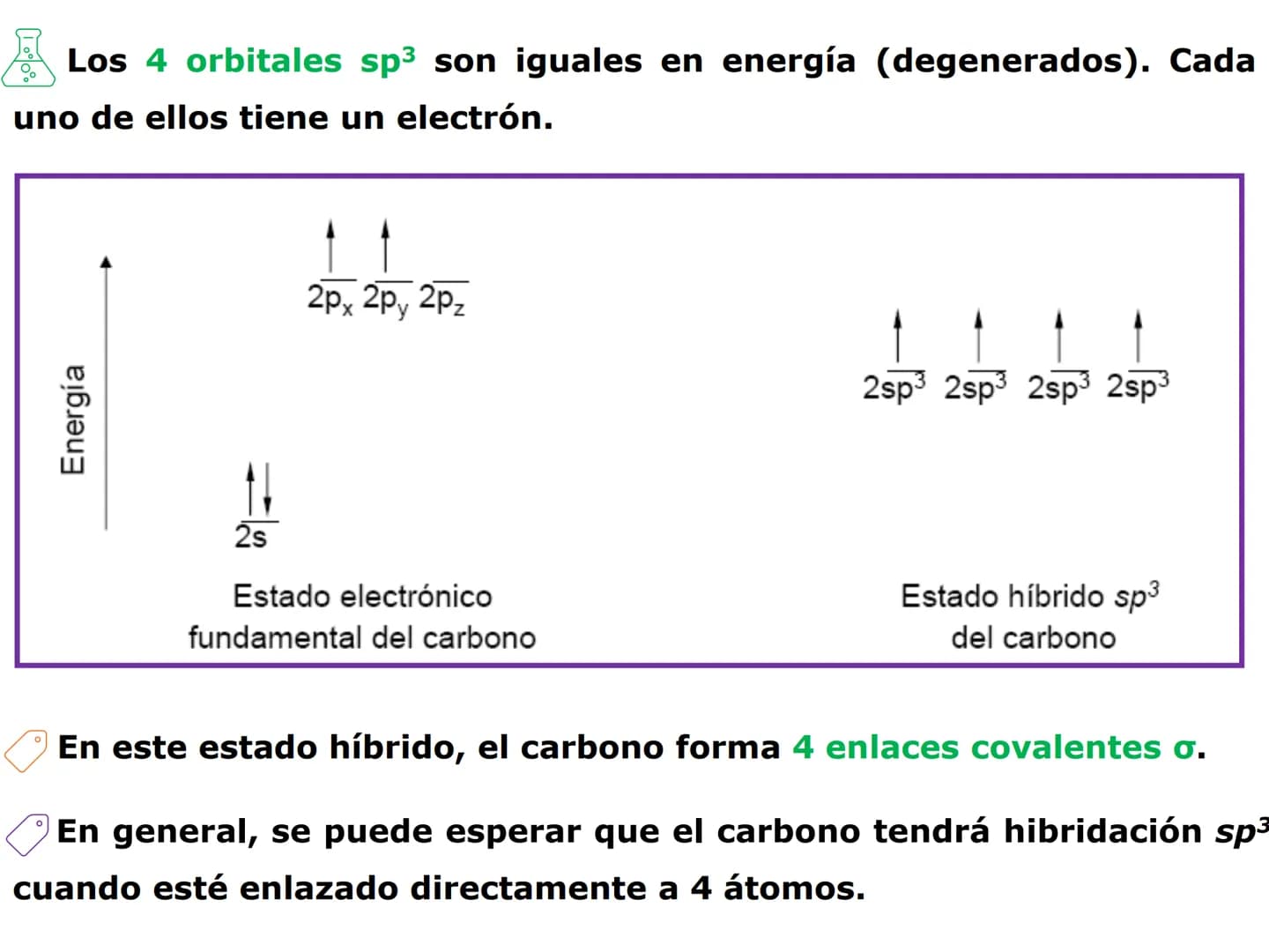 H
OH
OH
OH
ORGÁNICA Y BIC
QUÍMICA ORGÁNICA Y BIOLÓGICA
OH
OH
OH
HO
CH₃
OH
CARRERA: AGRONOMÍA
H
N
CH3
DOCENTES: Dra. Mariana Bonaterra
Dra. L