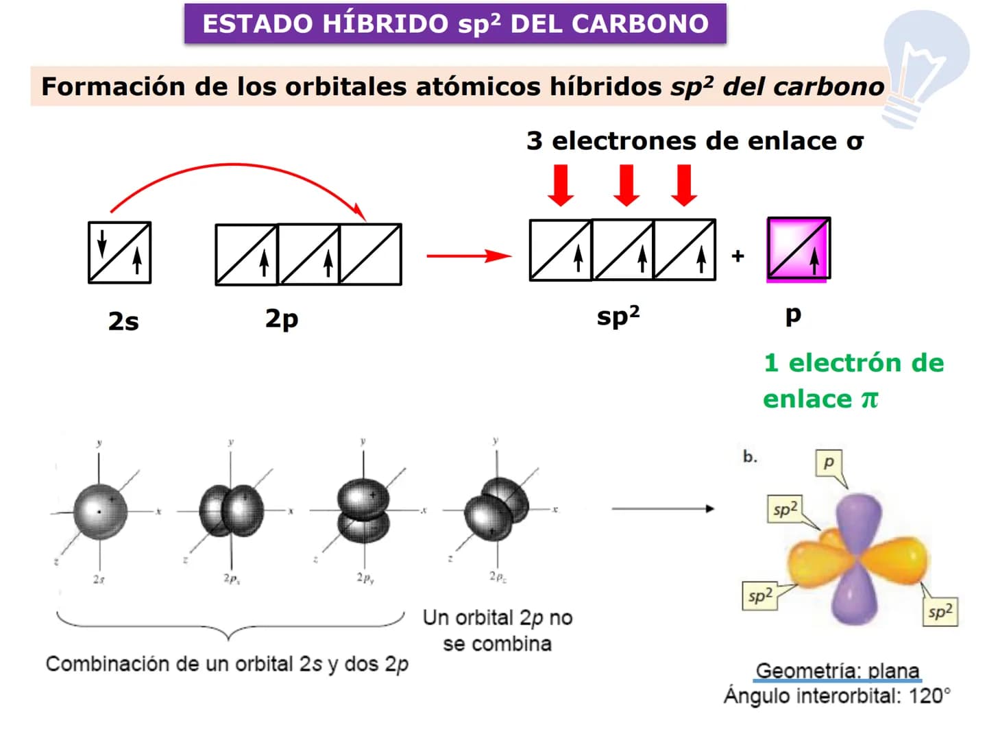 H
OH
OH
OH
ORGÁNICA Y BIC
QUÍMICA ORGÁNICA Y BIOLÓGICA
OH
OH
OH
HO
CH₃
OH
CARRERA: AGRONOMÍA
H
N
CH3
DOCENTES: Dra. Mariana Bonaterra
Dra. L