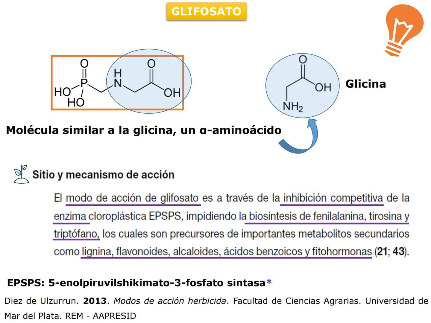 H
OH
OH
OH
ORGÁNICA Y BIC
QUÍMICA ORGÁNICA Y BIOLÓGICA
OH
OH
OH
HO
CH₃
OH
CARRERA: AGRONOMÍA
H
N
CH3
DOCENTES: Dra. Mariana Bonaterra
Dra. L