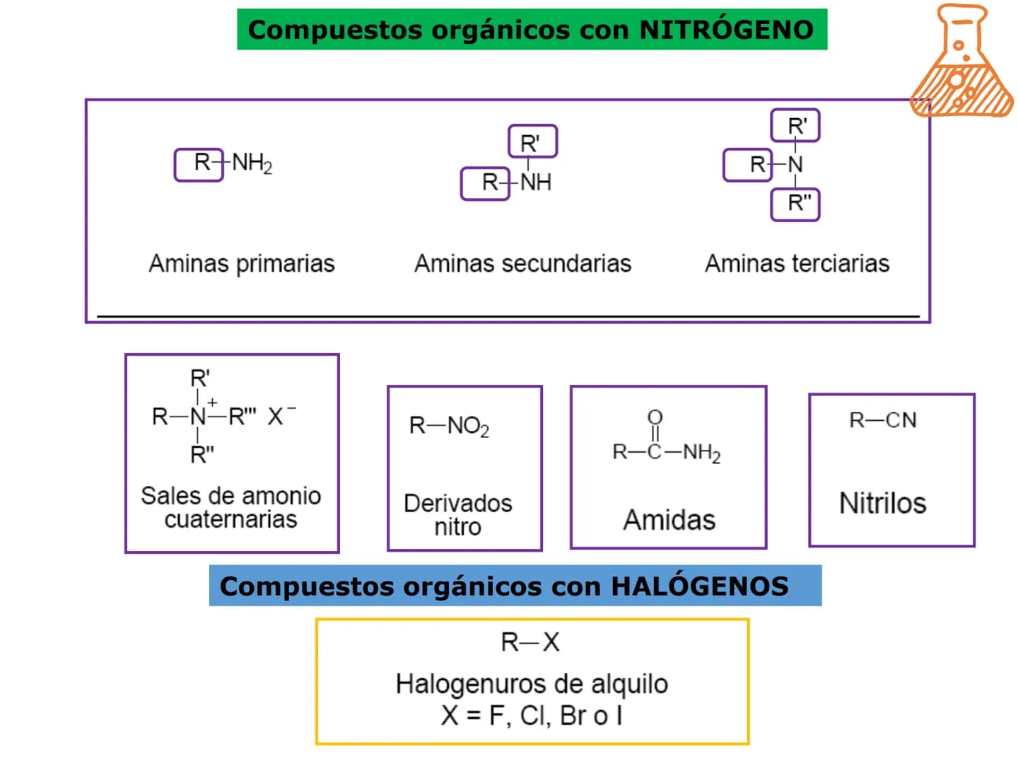 H
OH
OH
OH
ORGÁNICA Y BIC
QUÍMICA ORGÁNICA Y BIOLÓGICA
OH
OH
OH
HO
CH₃
OH
CARRERA: AGRONOMÍA
H
N
CH3
DOCENTES: Dra. Mariana Bonaterra
Dra. L