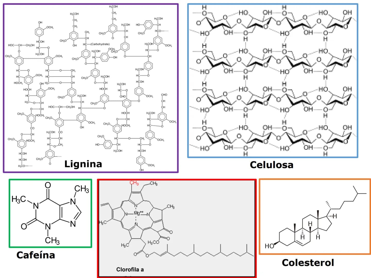 H
OH
OH
OH
ORGÁNICA Y BIC
QUÍMICA ORGÁNICA Y BIOLÓGICA
OH
OH
OH
HO
CH₃
OH
CARRERA: AGRONOMÍA
H
N
CH3
DOCENTES: Dra. Mariana Bonaterra
Dra. L