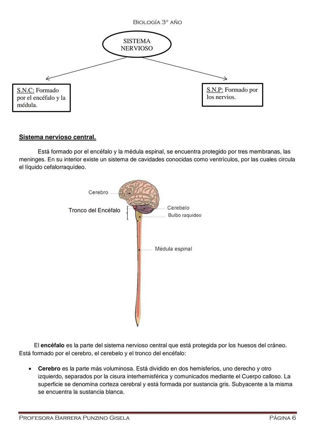 --- OCR Start ---
BIOLOGÍA 3º ΑΝΟ
Escuela N° 4-155 "Ernesto Pérez
Cuesta"
Biología
Alumno:
Año:
PROFESORA BARRERA PUNZINO GISELA
PÁGINA 1
--