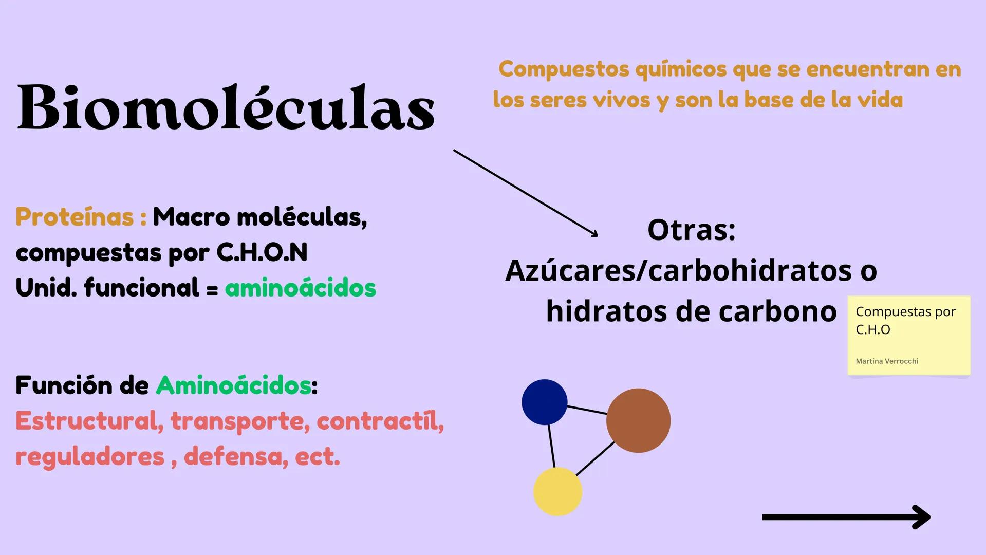 Función
• Metabolismo:
Toda célula come,
se reproduce,
crece y muere
Estructura
• Citoplasma
• Memb.
Plasmática
• ADN
↑
Célula
↓
Menor unida