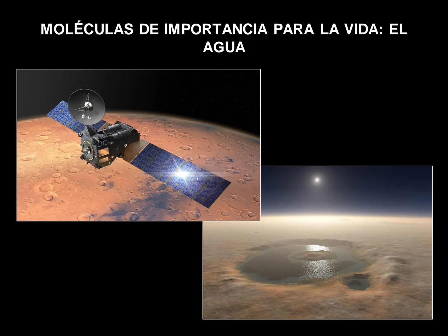 # MOLÉCULAS DE IMPORTANCIA PARA LA VIDA: EL AGUA # MOLÉCULAS DE IMPORTANCIA PARA LA VIDA: EL
AGUA
Existen organismos capaces de vivir sin l