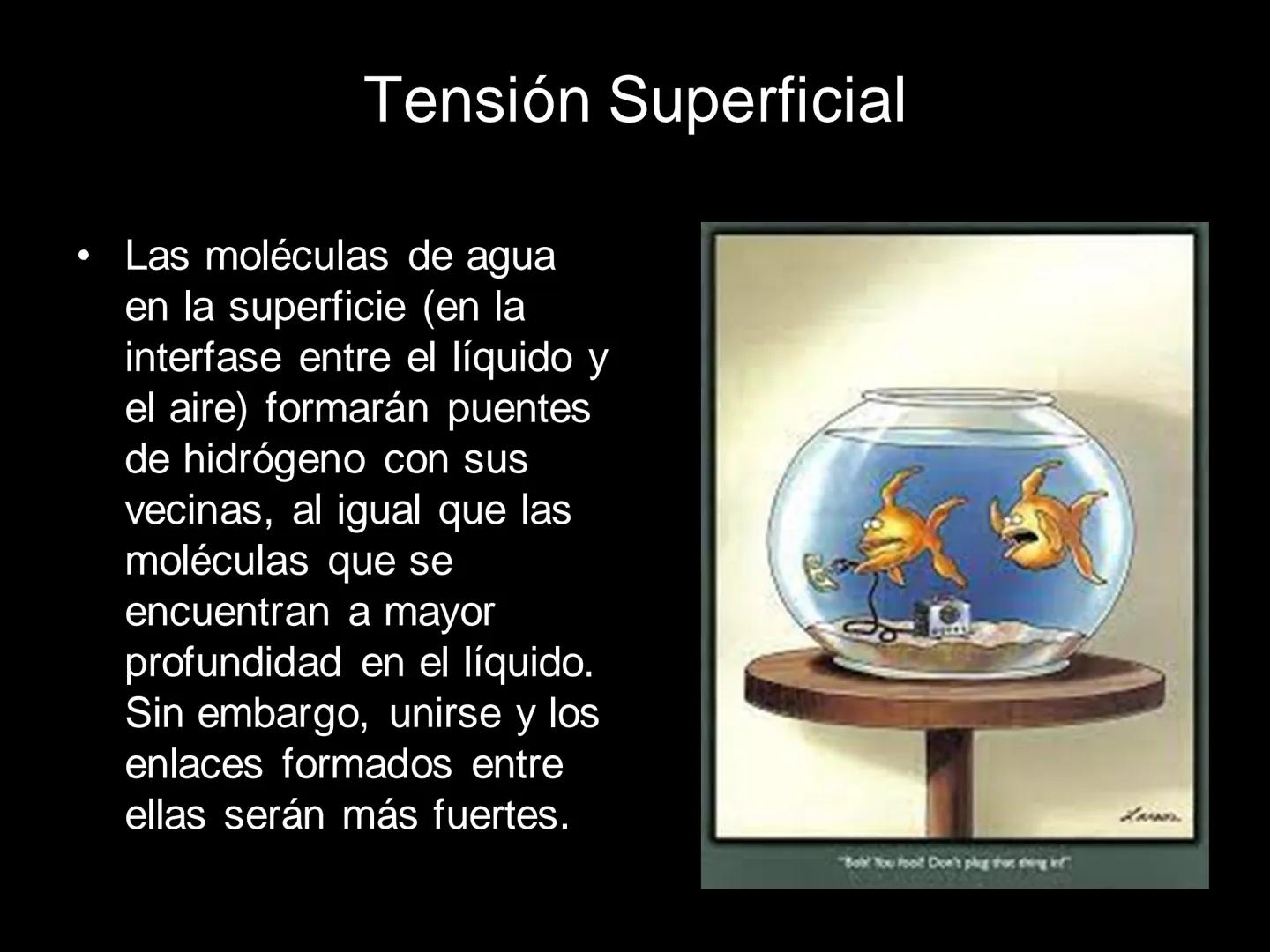 # MOLÉCULAS DE IMPORTANCIA PARA LA VIDA: EL AGUA # MOLÉCULAS DE IMPORTANCIA PARA LA VIDA: EL
AGUA
Existen organismos capaces de vivir sin l