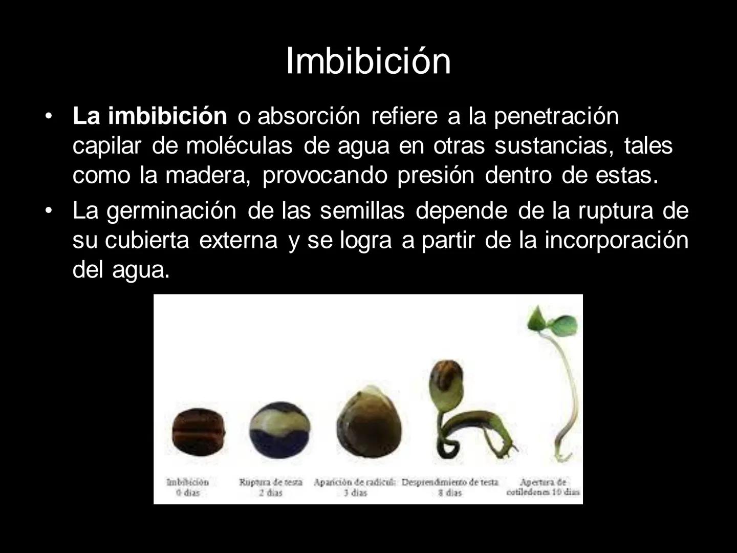 # MOLÉCULAS DE IMPORTANCIA PARA LA VIDA: EL AGUA # MOLÉCULAS DE IMPORTANCIA PARA LA VIDA: EL
AGUA
Existen organismos capaces de vivir sin l