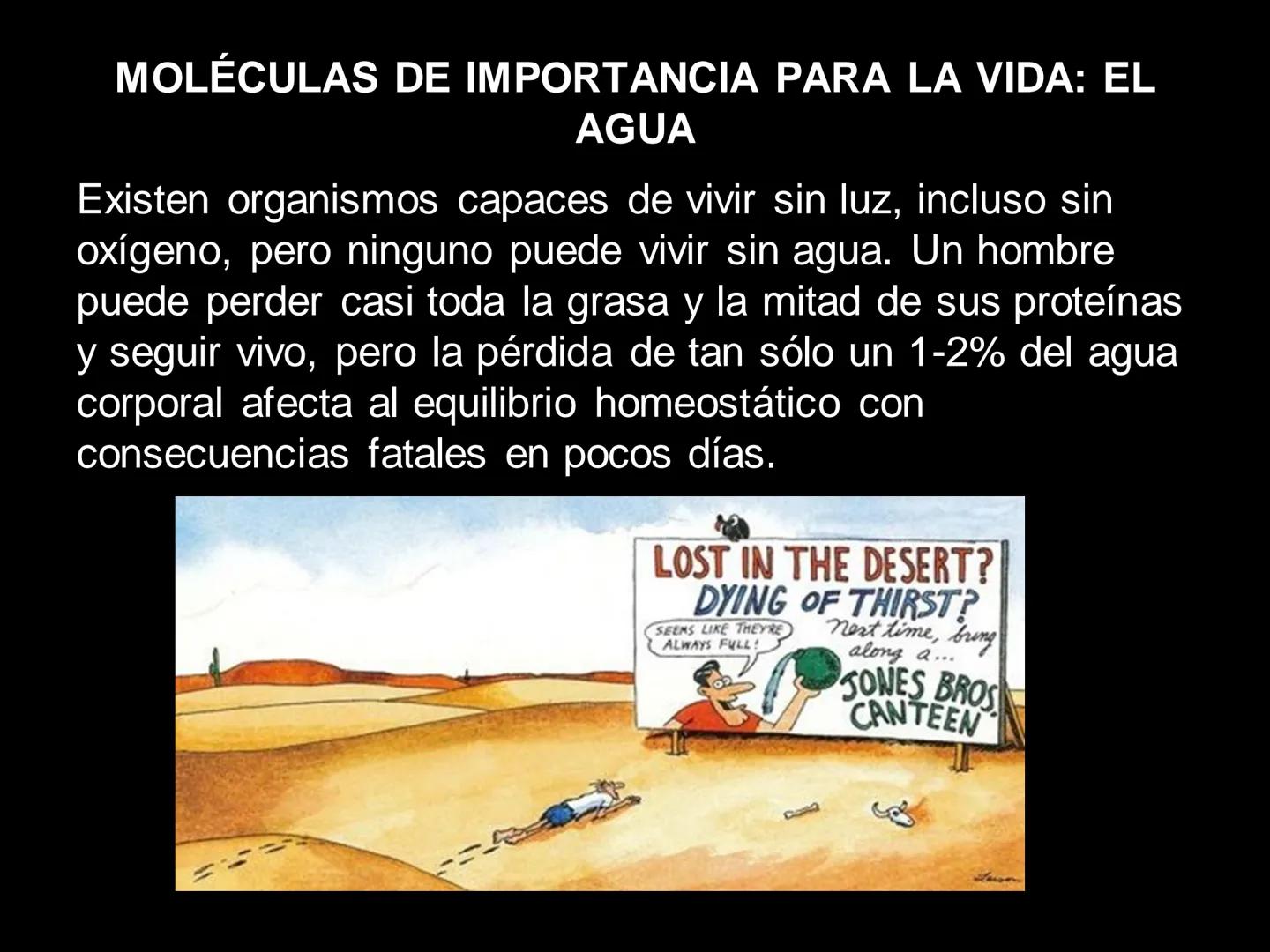# MOLÉCULAS DE IMPORTANCIA PARA LA VIDA: EL AGUA # MOLÉCULAS DE IMPORTANCIA PARA LA VIDA: EL
AGUA
Existen organismos capaces de vivir sin l
