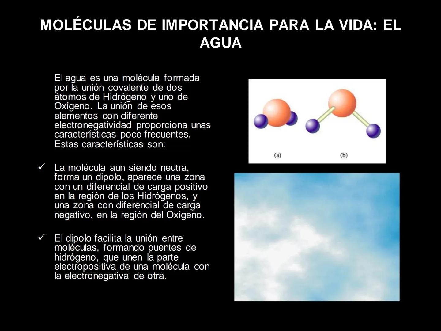 # MOLÉCULAS DE IMPORTANCIA PARA LA VIDA: EL AGUA # MOLÉCULAS DE IMPORTANCIA PARA LA VIDA: EL
AGUA
Existen organismos capaces de vivir sin l