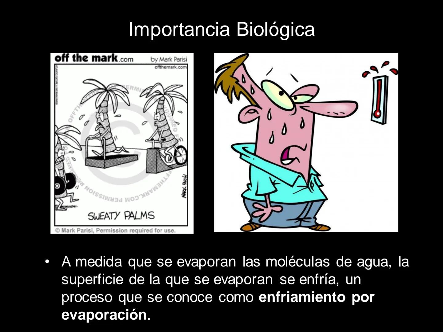 # MOLÉCULAS DE IMPORTANCIA PARA LA VIDA: EL AGUA # MOLÉCULAS DE IMPORTANCIA PARA LA VIDA: EL
AGUA
Existen organismos capaces de vivir sin l