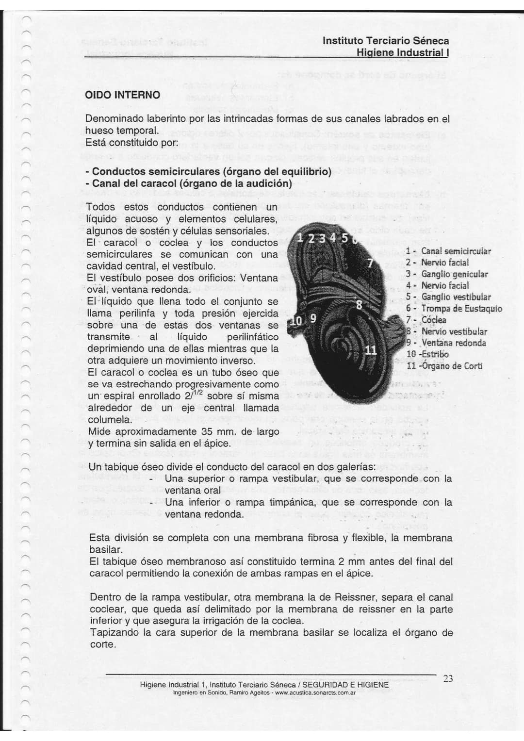 CCCCCCCCC
))))))))))))))))))))))))))))
Instituto Terciario Séneca
Higiene Industrial I
Unidad 2
Fisiología de la Audición
Unidad 2:
Estru