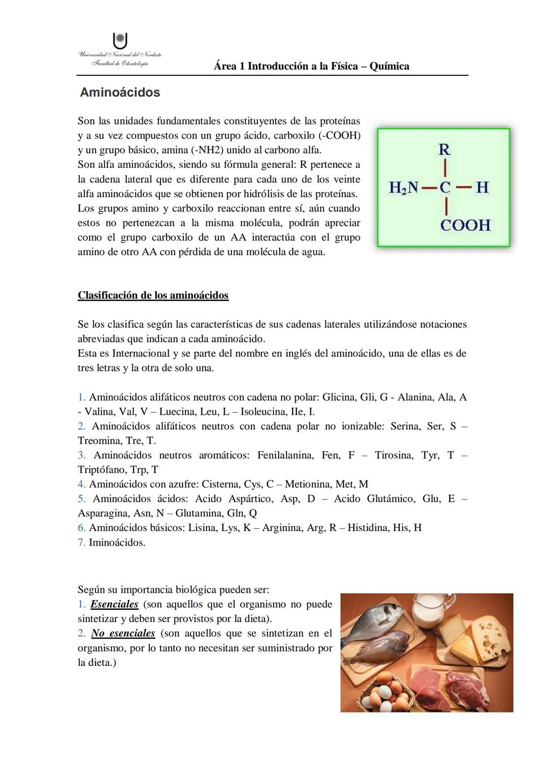 aminoácidos y proteínas