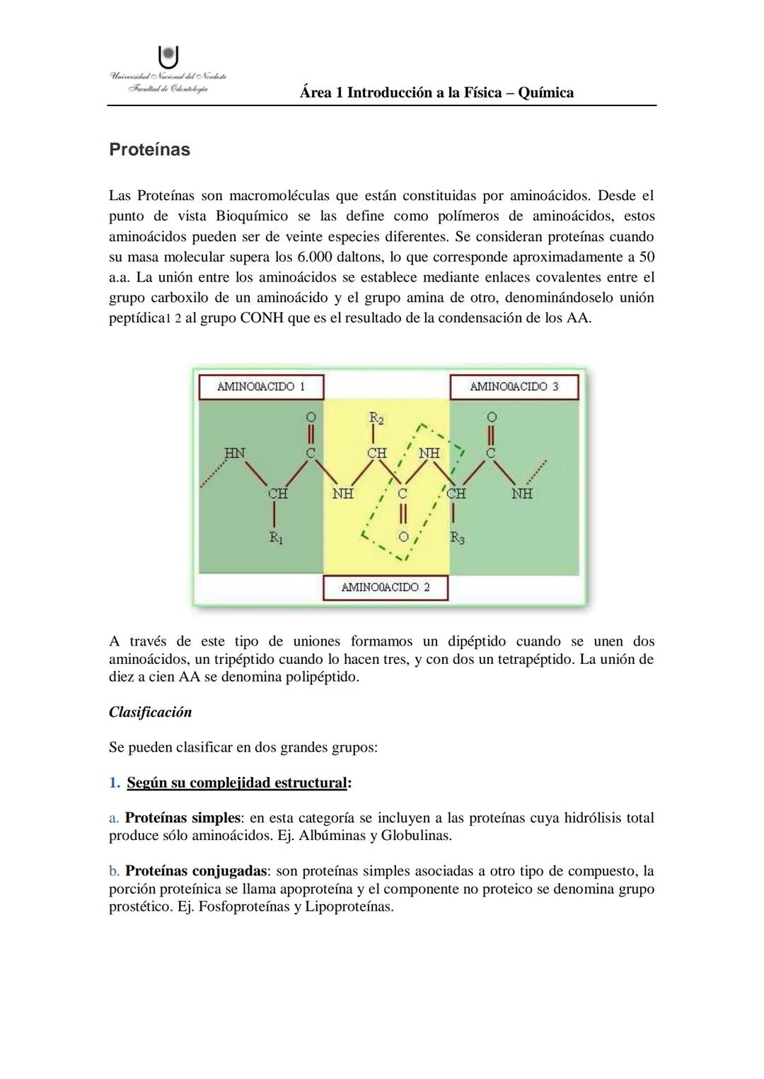 # Aminoácidos
Son las unidades fundamentales constituyentes de las proteínas y a su vez compuestos con un grupo ácido, carboxilo (-COOH) y