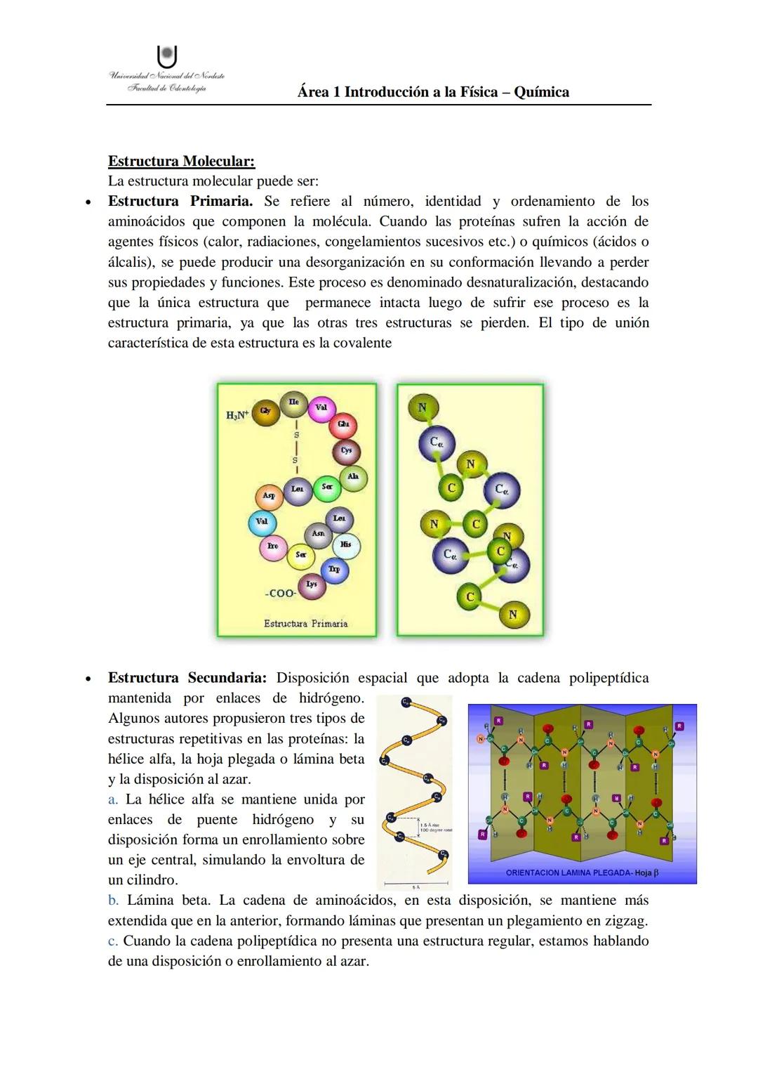 # Aminoácidos
Son las unidades fundamentales constituyentes de las proteínas y a su vez compuestos con un grupo ácido, carboxilo (-COOH) y