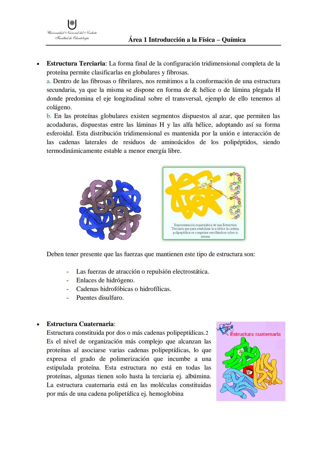 # Aminoácidos
Son las unidades fundamentales constituyentes de las proteínas y a su vez compuestos con un grupo ácido, carboxilo (-COOH) y