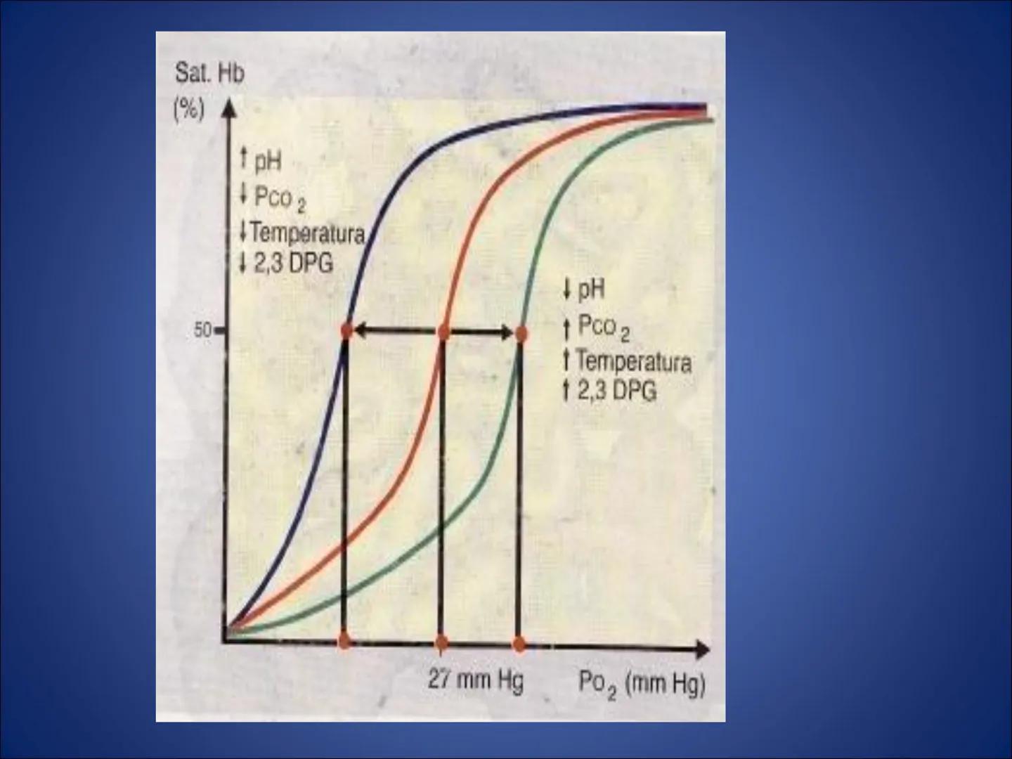 # FISIOLOGIA
# DE LA
# SANGRE # Exámenes
* Parcial:
- Multiple choice: una sola opción correcta
- 60% correctas para aprobación
* E