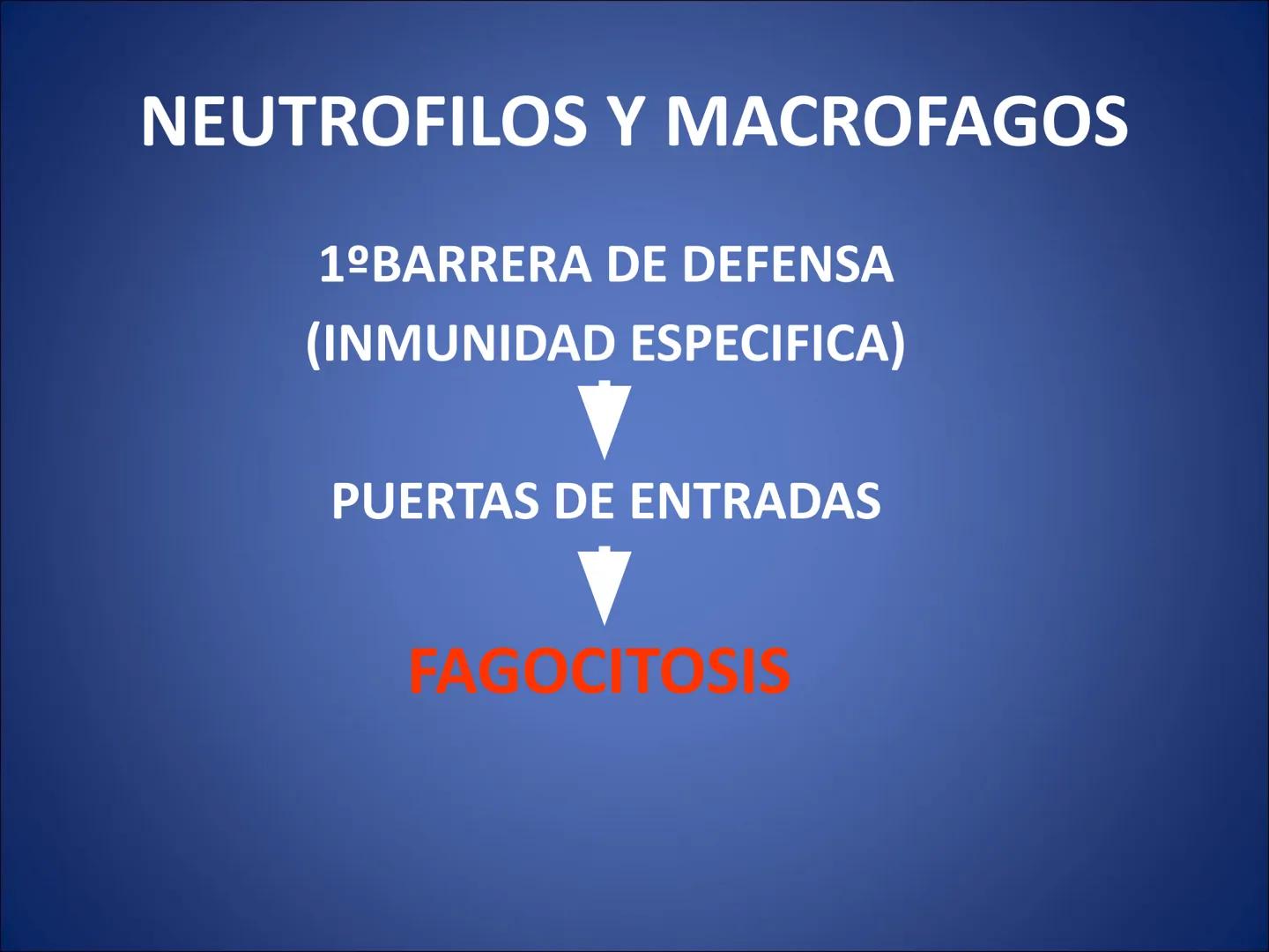 # FISIOLOGIA
# DE LA
# SANGRE # Exámenes
* Parcial:
- Multiple choice: una sola opción correcta
- 60% correctas para aprobación
* E
