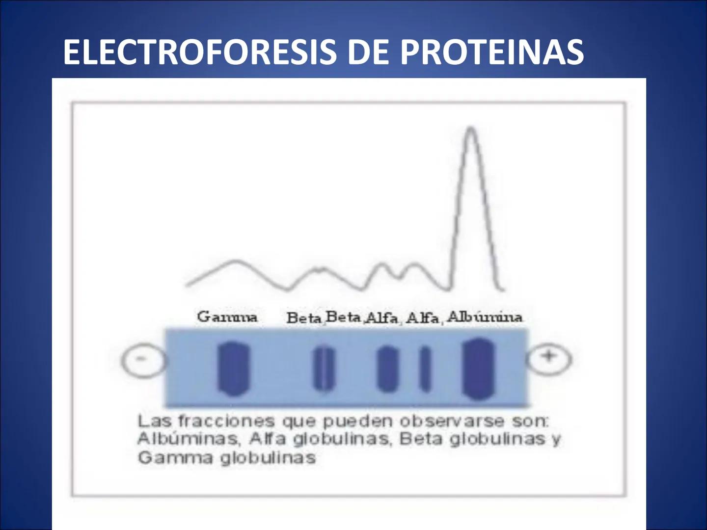 # FISIOLOGIA
# DE LA
# SANGRE # Exámenes
* Parcial:
- Multiple choice: una sola opción correcta
- 60% correctas para aprobación
* E