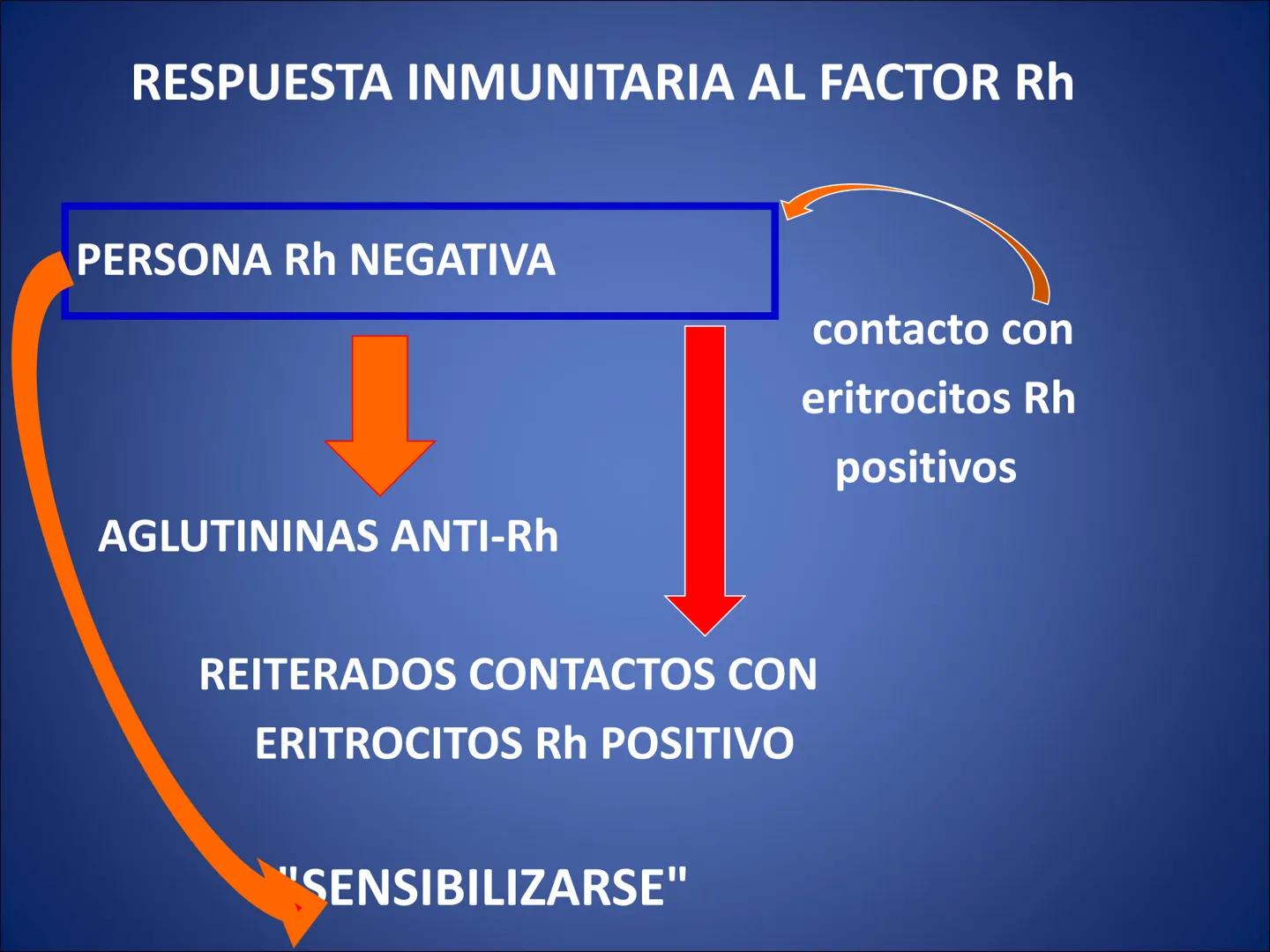 # FISIOLOGIA
# DE LA
# SANGRE # Exámenes
* Parcial:
- Multiple choice: una sola opción correcta
- 60% correctas para aprobación
* E
