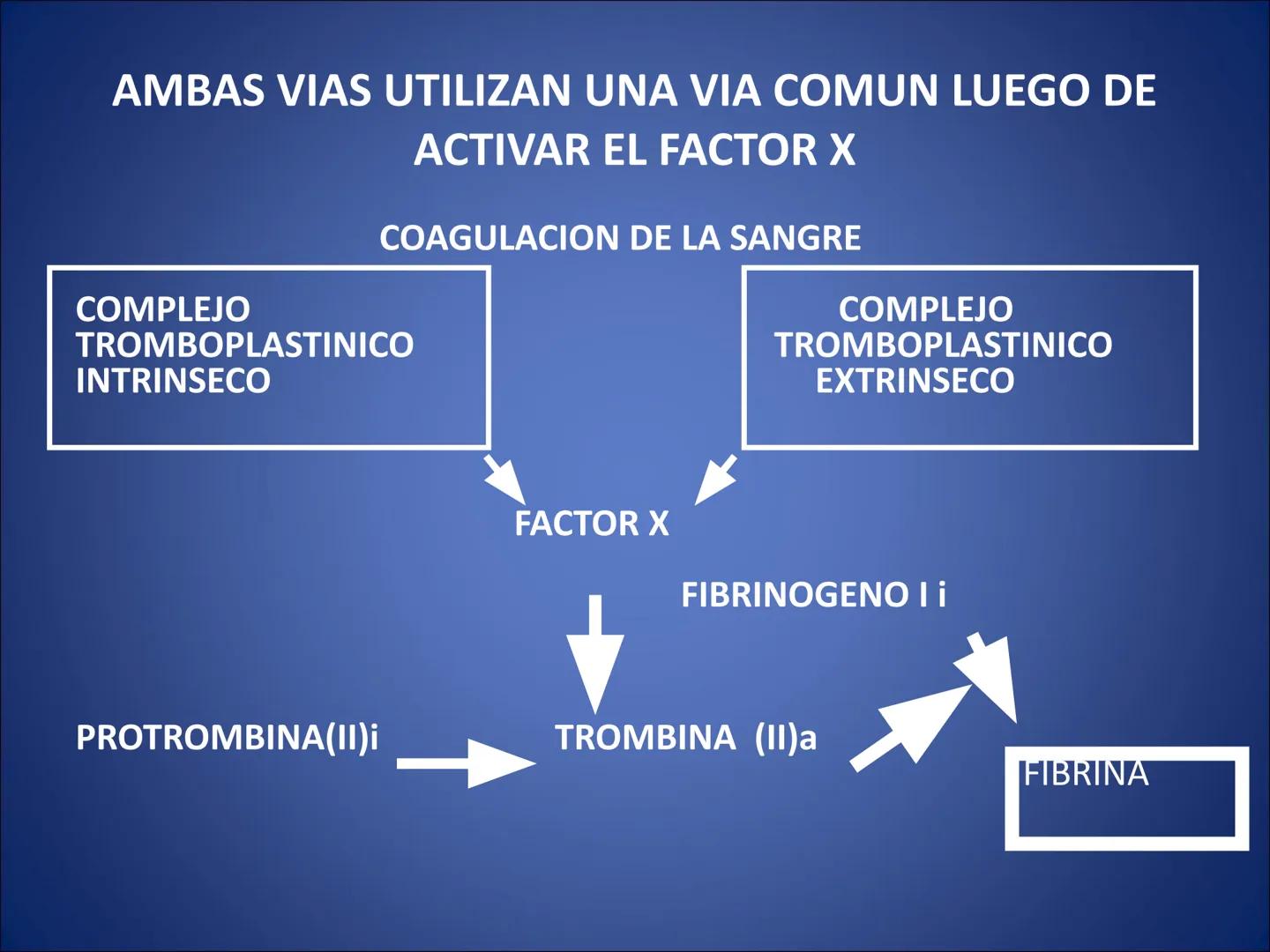 # FISIOLOGIA
# DE LA
# SANGRE # Exámenes
* Parcial:
- Multiple choice: una sola opción correcta
- 60% correctas para aprobación
* E