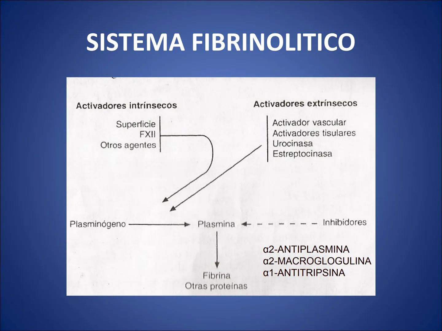 # FISIOLOGIA
# DE LA
# SANGRE # Exámenes
* Parcial:
- Multiple choice: una sola opción correcta
- 60% correctas para aprobación
* E