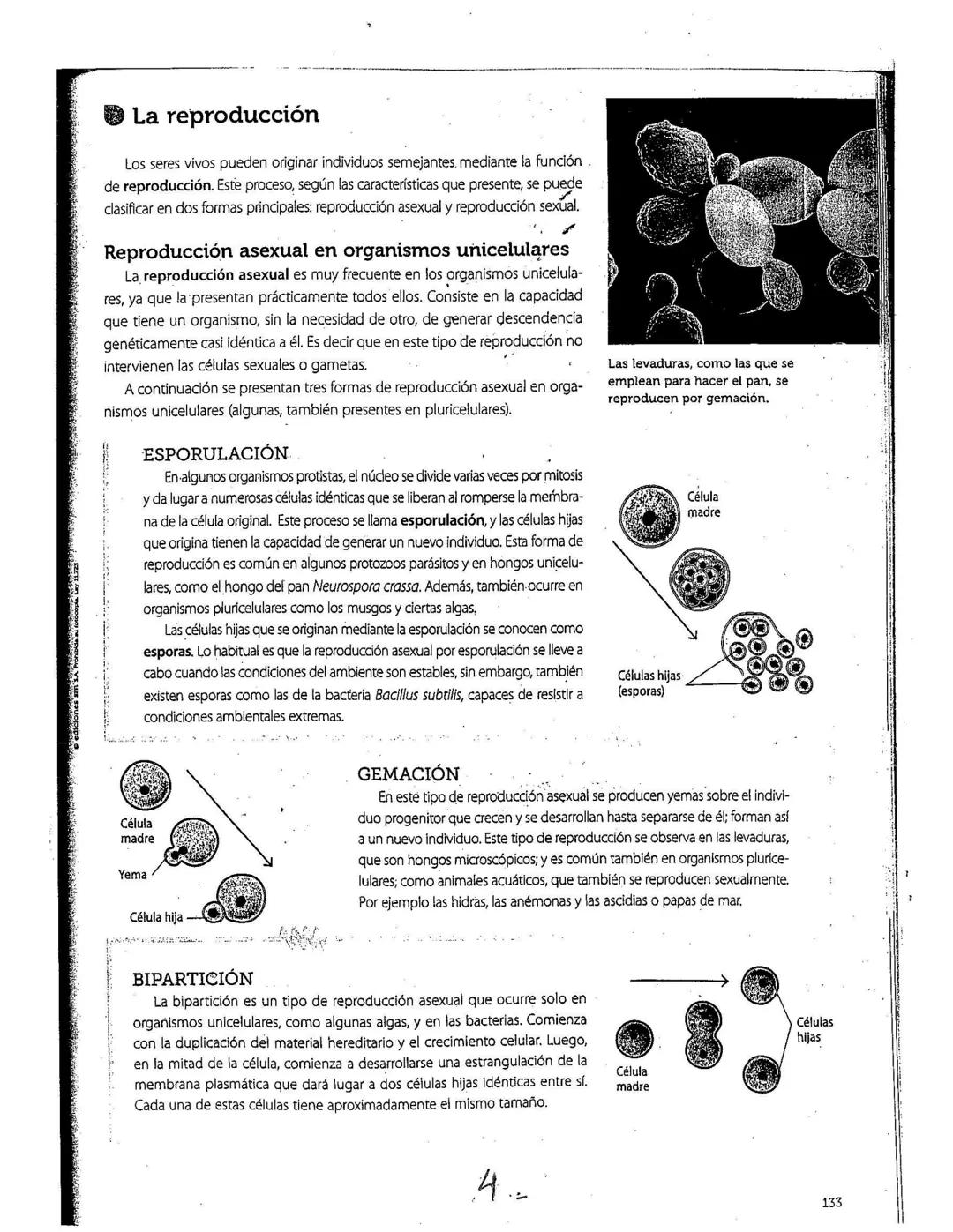Reproducción Asexual y sexual.