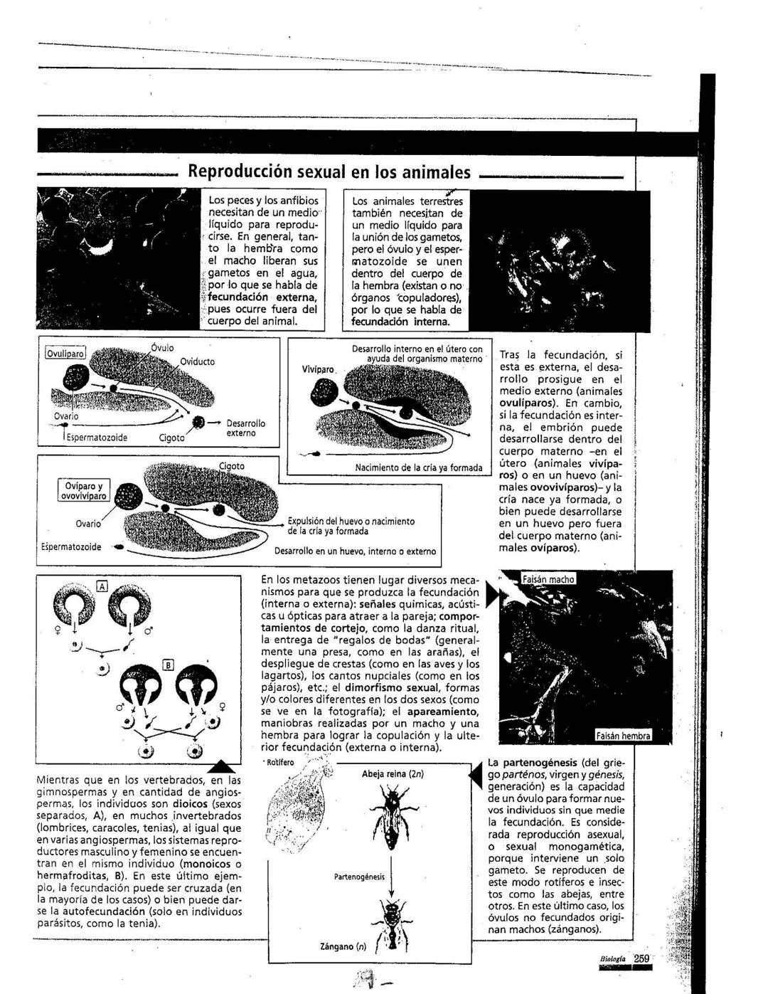 # La reproducción
Los seres vivos pueden originar individuos semejantes. mediante la función
de reproducción. Este proceso, según las carac