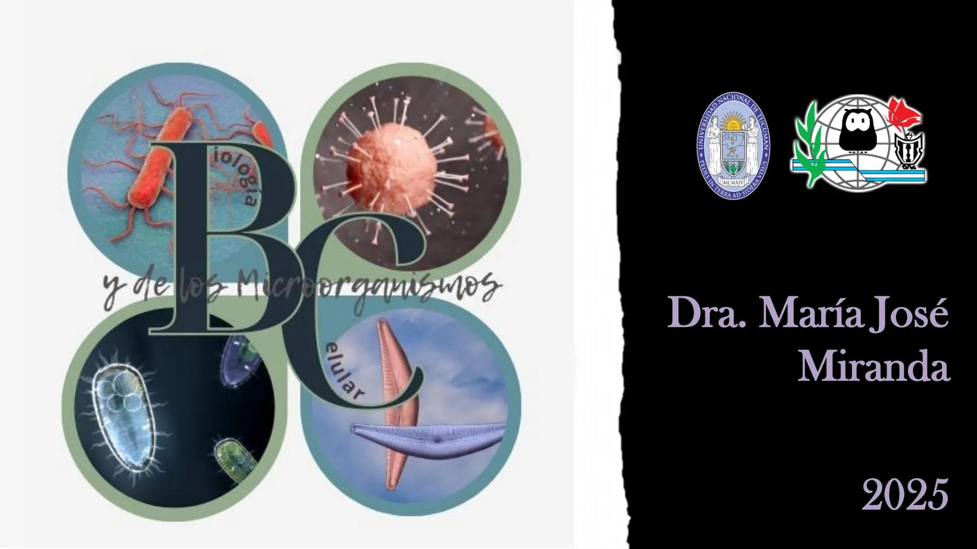 AD NACIONAL DE TUCUMAN
08
iol
B
de los Microorganismos
elular
PEDES IN TERRA AD SIDERA
MCMXIV
VISUS
Dra. María José
Miranda
2025 # Modelos