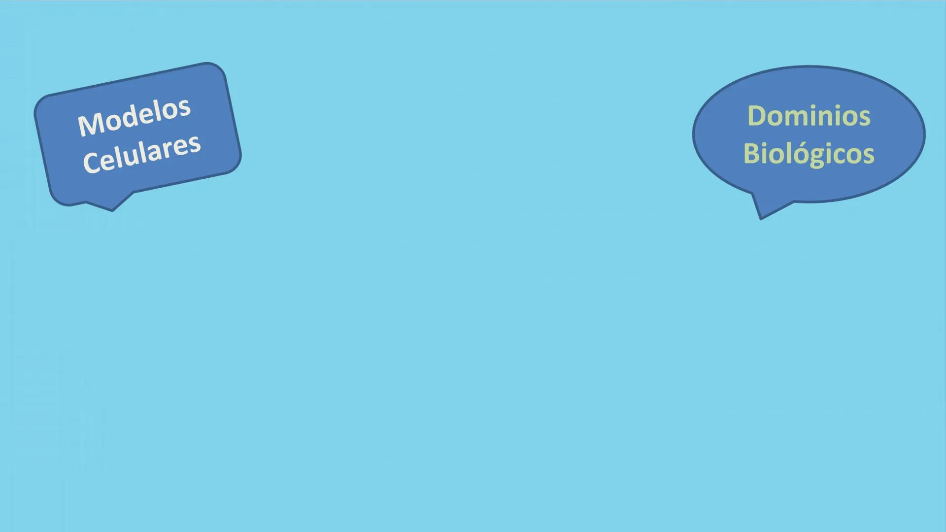 AD NACIONAL DE TUCUMAN
08
iol
B
de los Microorganismos
elular
PEDES IN TERRA AD SIDERA
MCMXIV
VISUS
Dra. María José
Miranda
2025 # Modelos