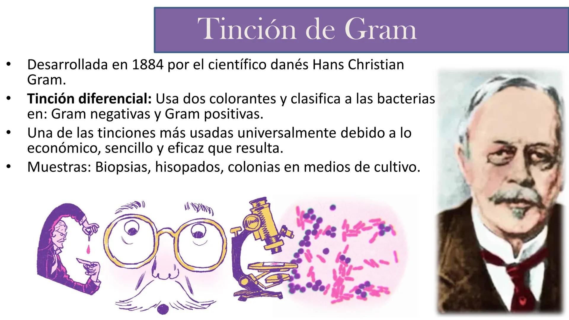 AD NACIONAL DE TUCUMAN
08
iol
B
de los Microorganismos
elular
PEDES IN TERRA AD SIDERA
MCMXIV
VISUS
Dra. María José
Miranda
2025 # Modelos
