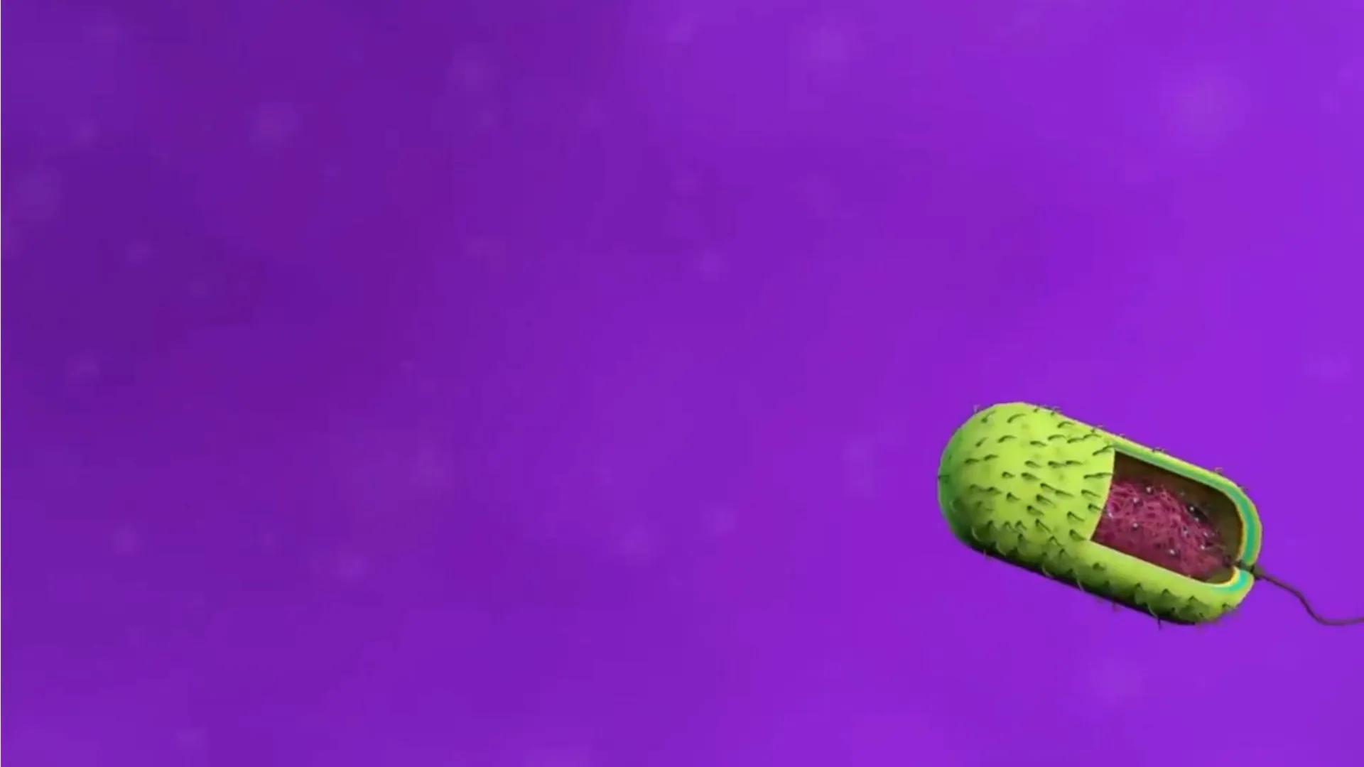 AD NACIONAL DE TUCUMAN
08
iol
B
de los Microorganismos
elular
PEDES IN TERRA AD SIDERA
MCMXIV
VISUS
Dra. María José
Miranda
2025 # Modelos