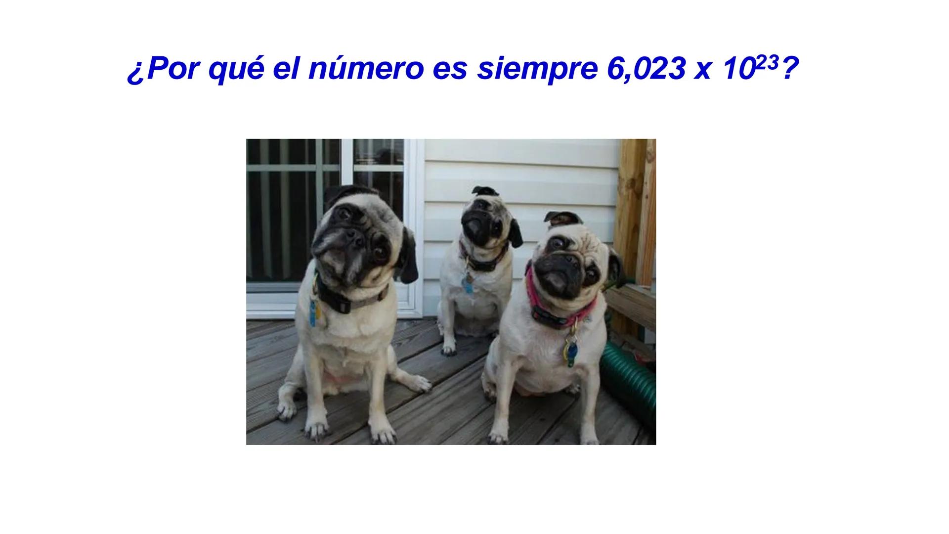 # Teórico-Práctico N° 2
Peso atómico. Peso relativo.
Concepto de mol. Masa molar.
Reacciones químicas. Equilibrio químico.
Estequiometría.