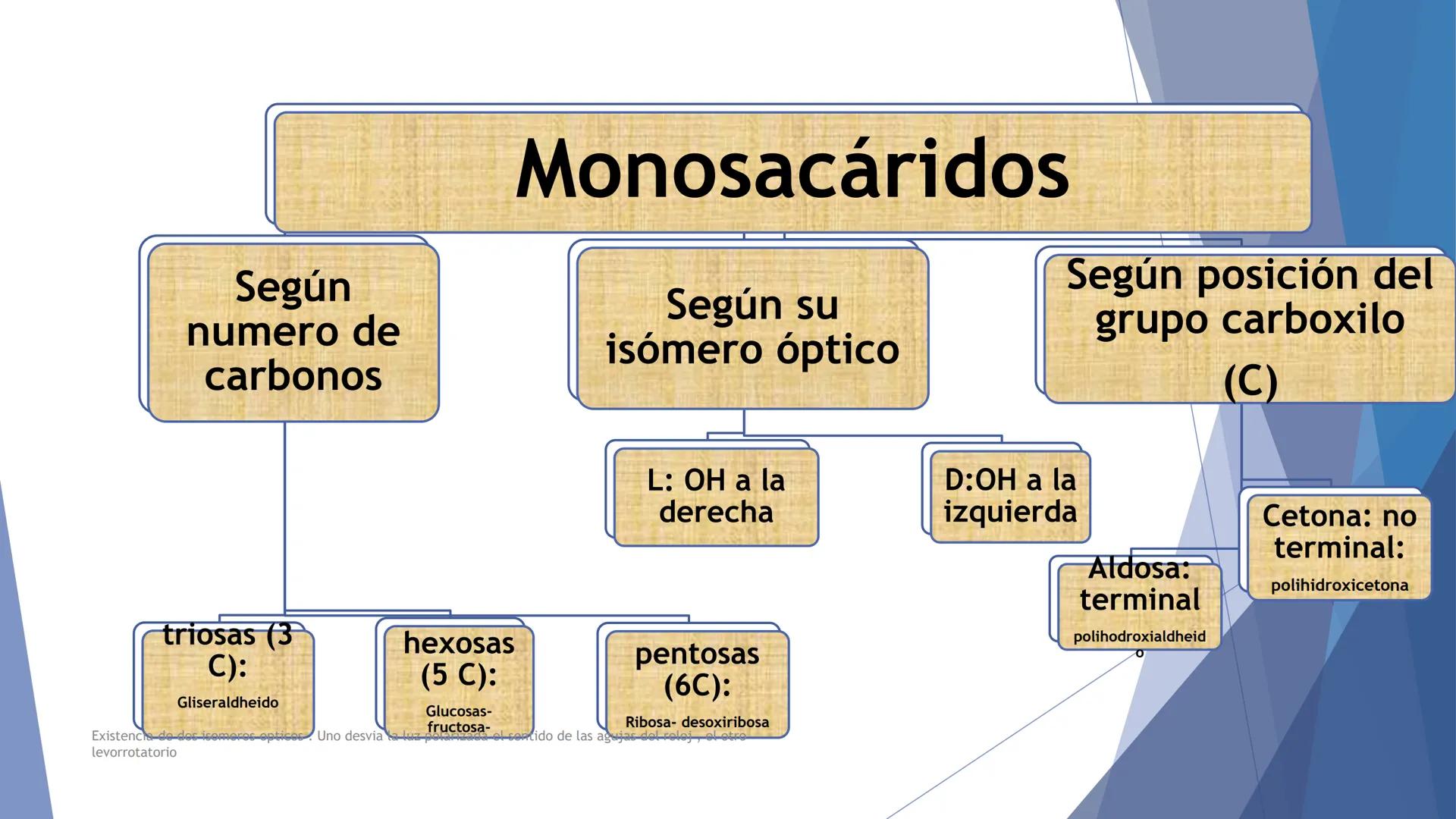 # UNIVERSIDAD CATOLICA DE RIO CUARTO
Facultad de Ciencias de la Salud
Asignatura Nutricion
Unidad N° 2
Dra Herrero Maia # Alimentación vs n