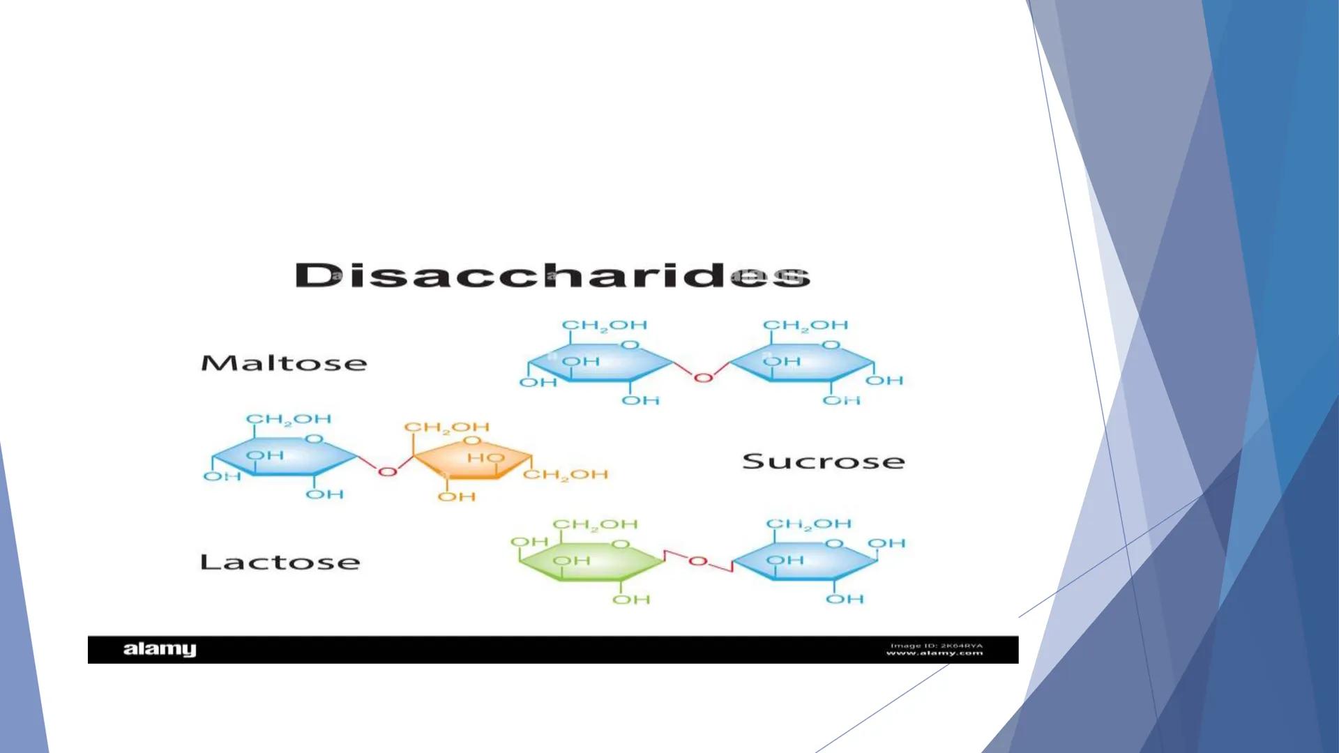 # UNIVERSIDAD CATOLICA DE RIO CUARTO
Facultad de Ciencias de la Salud
Asignatura Nutricion
Unidad N° 2
Dra Herrero Maia # Alimentación vs n