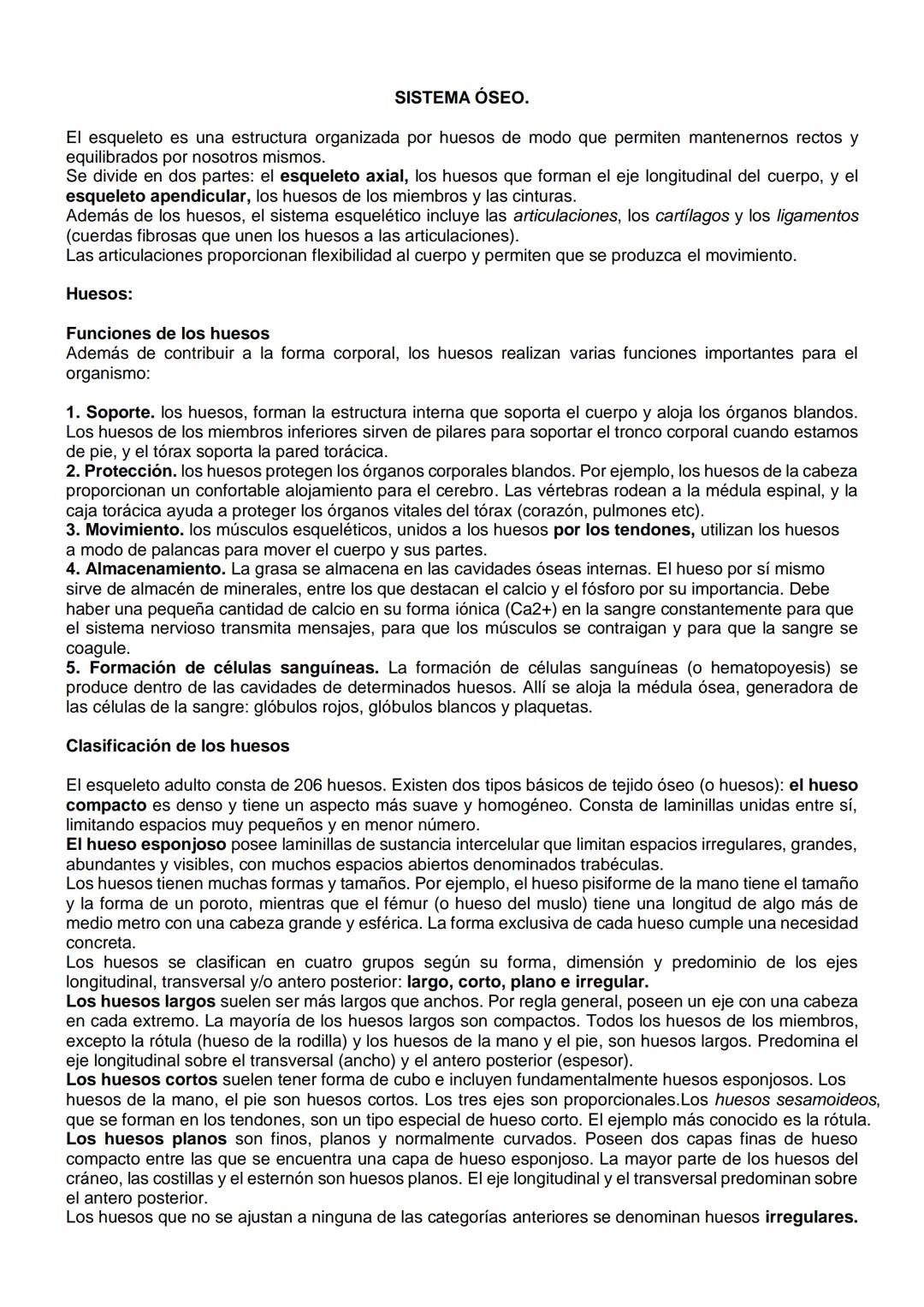 Sistema oseo
