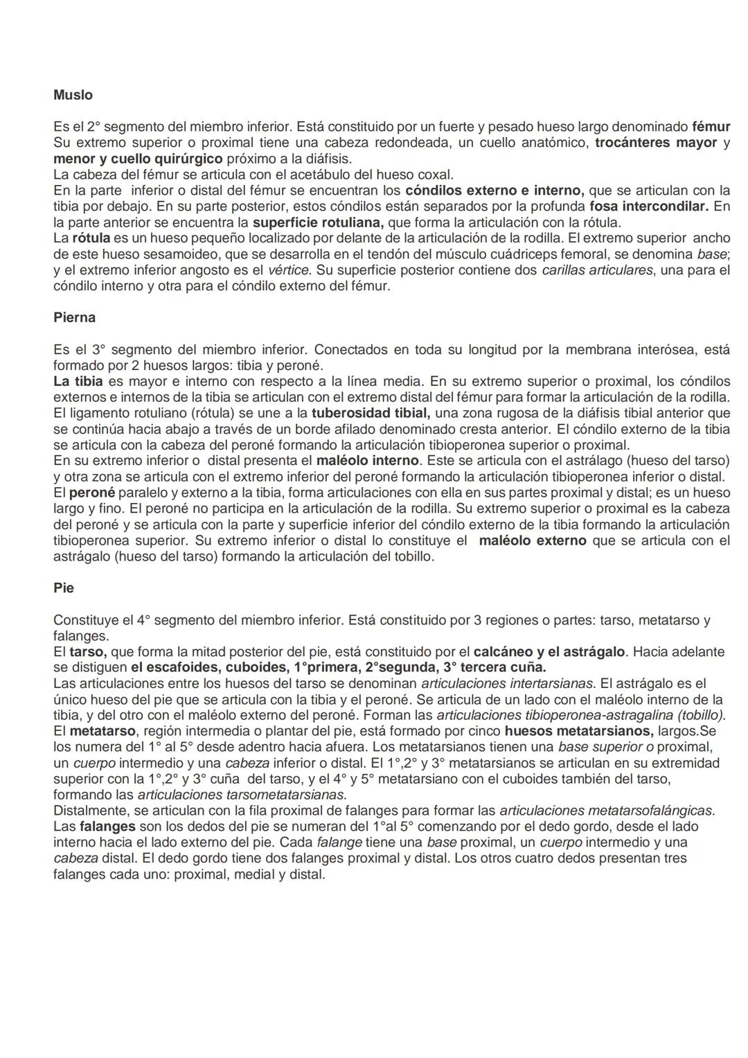 # SISTEMA ÓSEO.
El esqueleto es una estructura organizada por huesos de modo que permiten mantenernos rectos y
equilibrados por nosotros mis