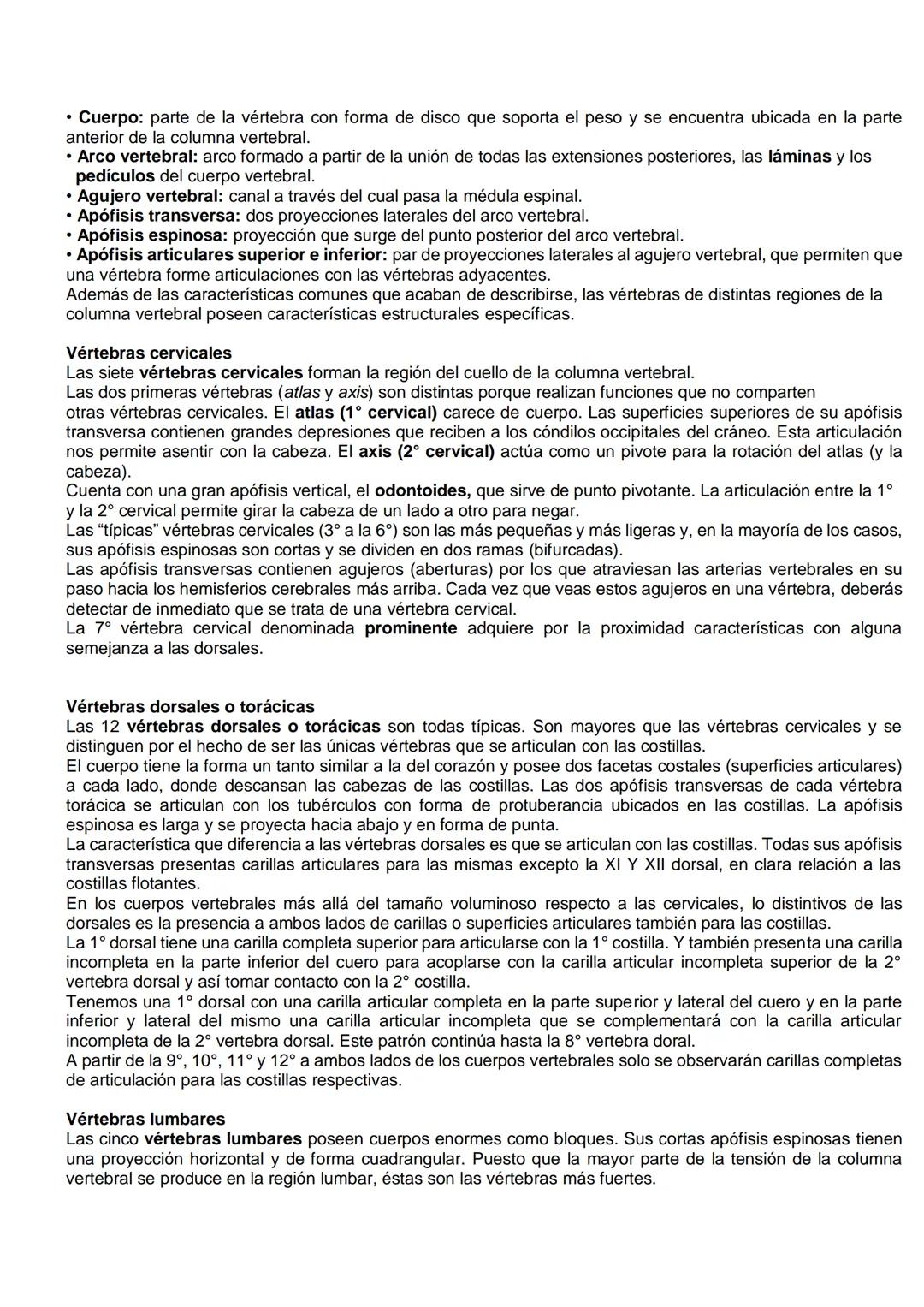 # SISTEMA ÓSEO.
El esqueleto es una estructura organizada por huesos de modo que permiten mantenernos rectos y
equilibrados por nosotros mis