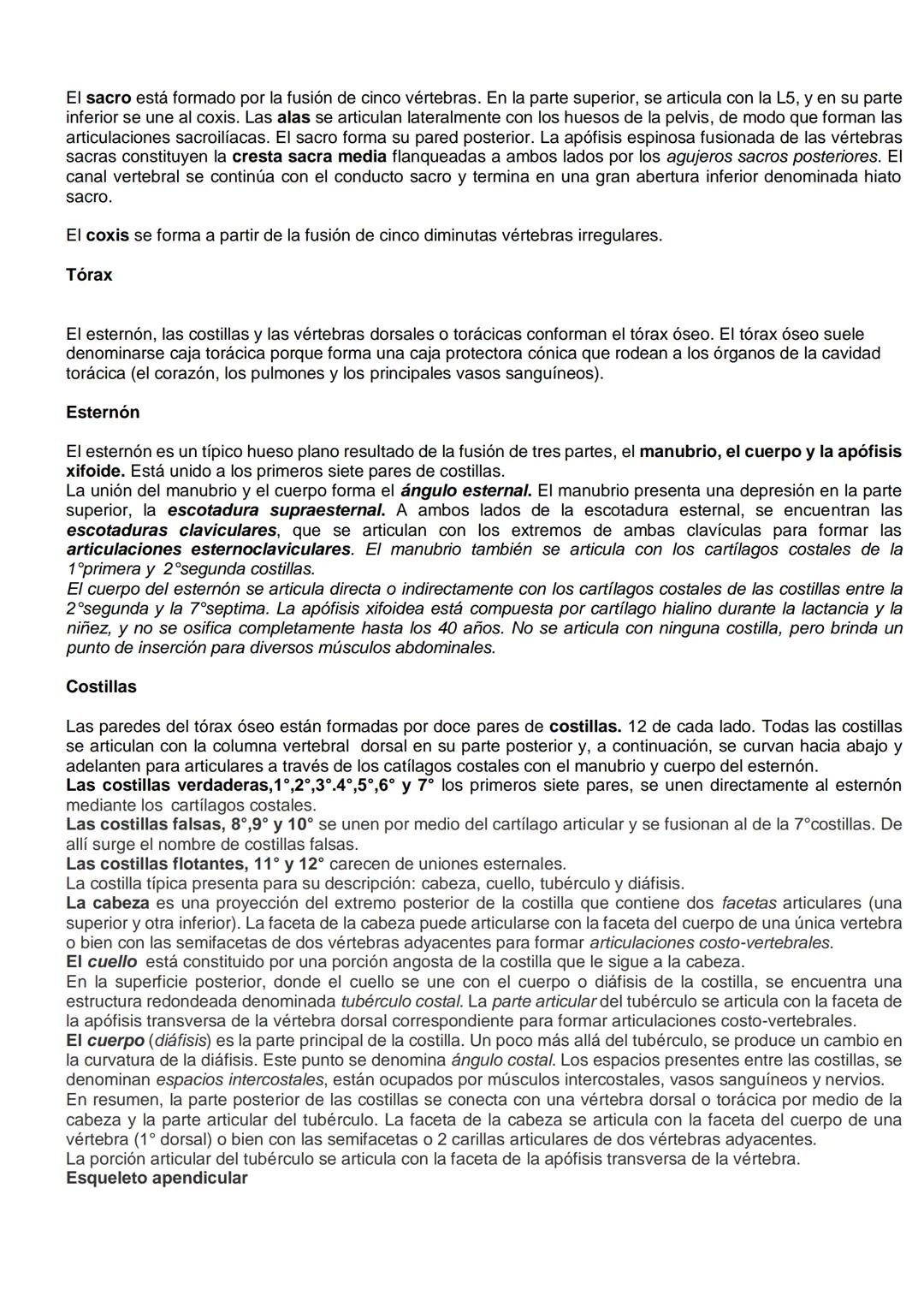 # SISTEMA ÓSEO.
El esqueleto es una estructura organizada por huesos de modo que permiten mantenernos rectos y
equilibrados por nosotros mis