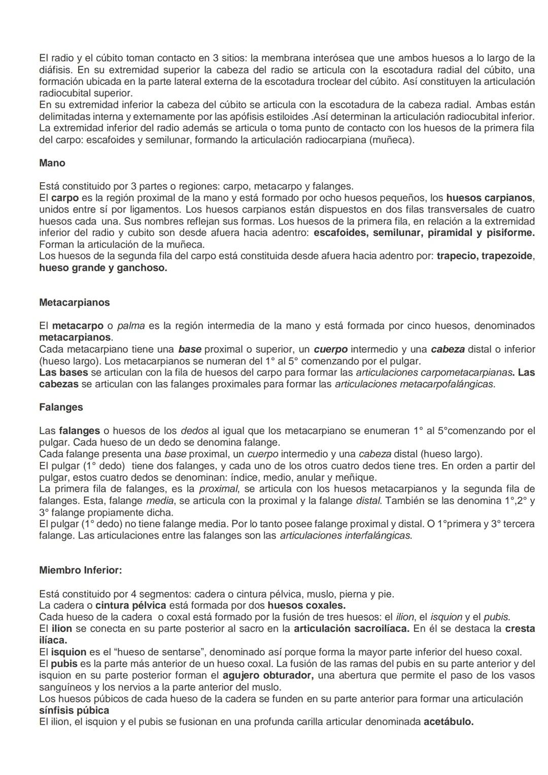 # SISTEMA ÓSEO.
El esqueleto es una estructura organizada por huesos de modo que permiten mantenernos rectos y
equilibrados por nosotros mis