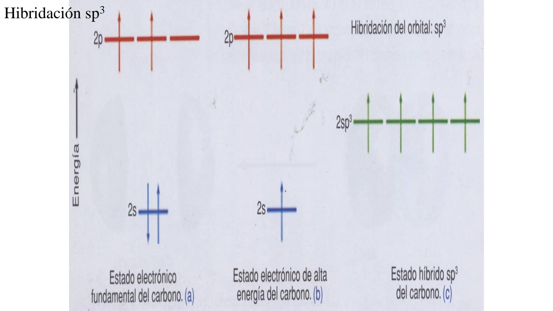 # Teoría Química Biológica
## Química Orgánica
(Temas 1 y 2) # Introducción a la Química
Orgánica
Química orgánica: estudia las
estructura