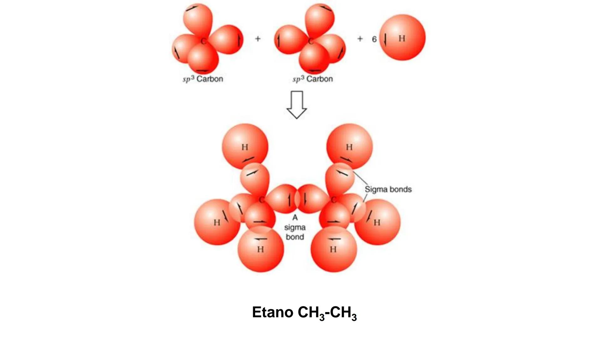 # Teoría Química Biológica
## Química Orgánica
(Temas 1 y 2) # Introducción a la Química
Orgánica
Química orgánica: estudia las
estructura
