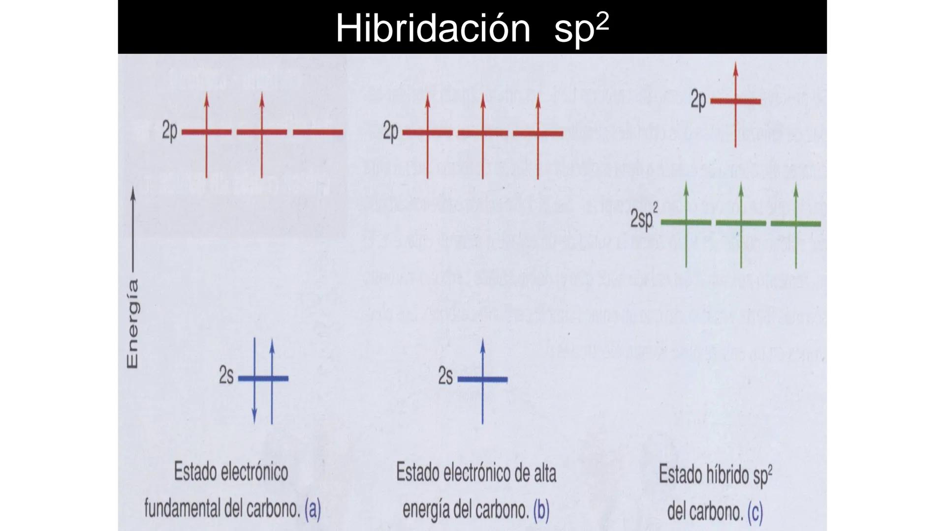 # Teoría Química Biológica
## Química Orgánica
(Temas 1 y 2) # Introducción a la Química
Orgánica
Química orgánica: estudia las
estructura
