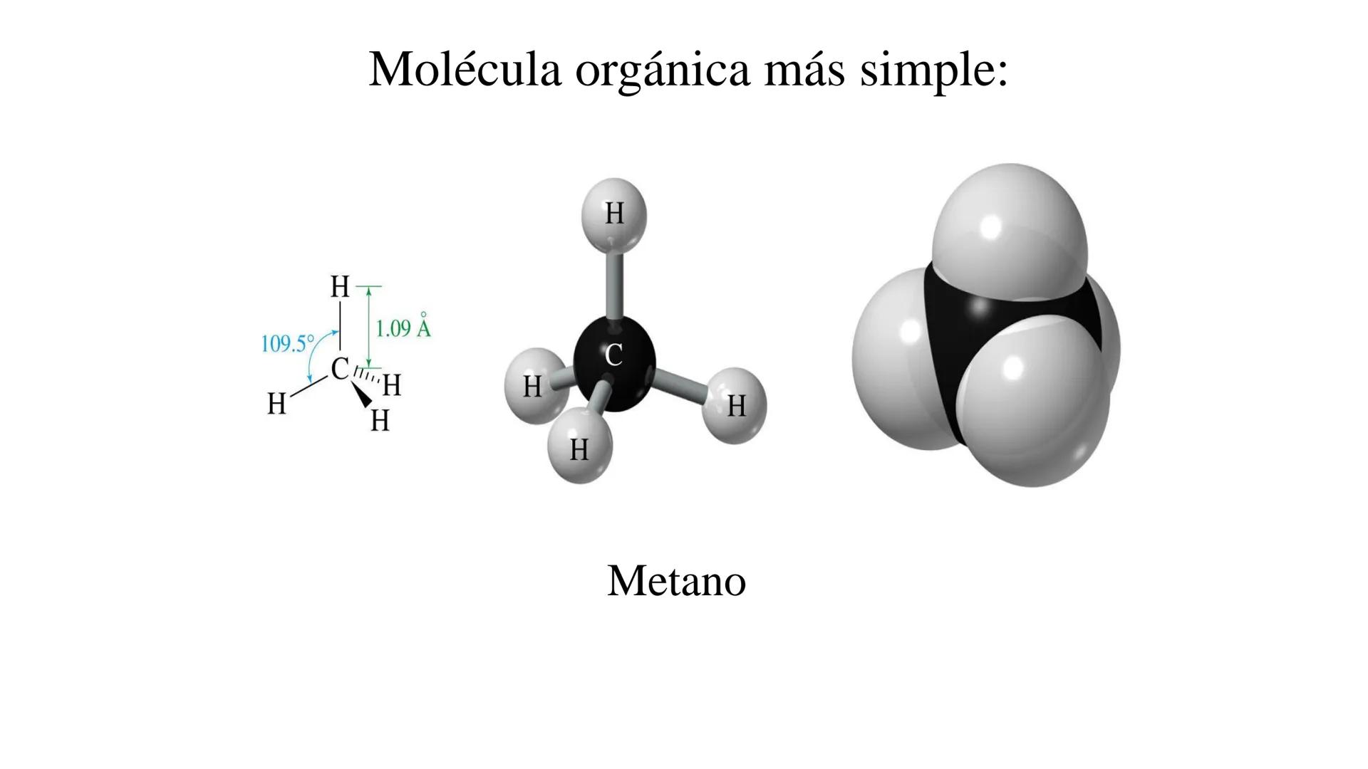 # Teoría Química Biológica
## Química Orgánica
(Temas 1 y 2) # Introducción a la Química
Orgánica
Química orgánica: estudia las
estructura