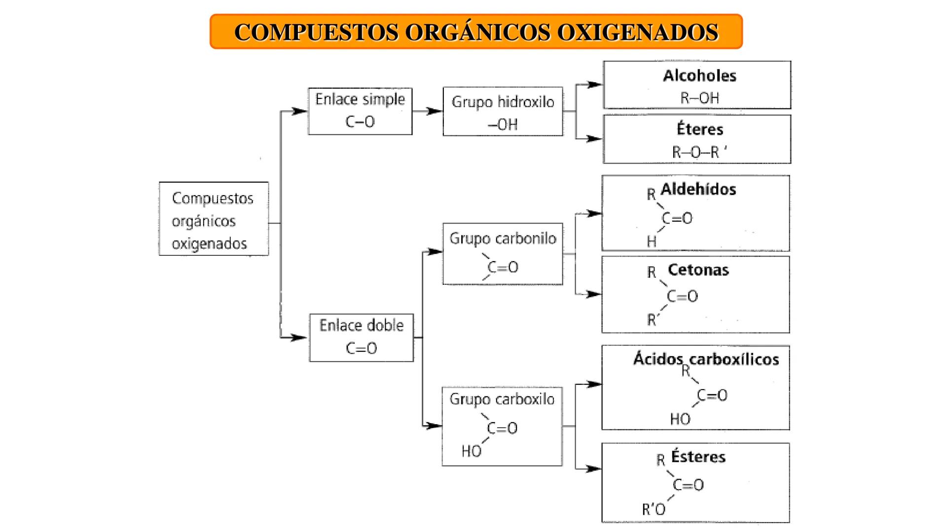 # Teoría Química Biológica
## Química Orgánica
(Temas 1 y 2) # Introducción a la Química
Orgánica
Química orgánica: estudia las
estructura