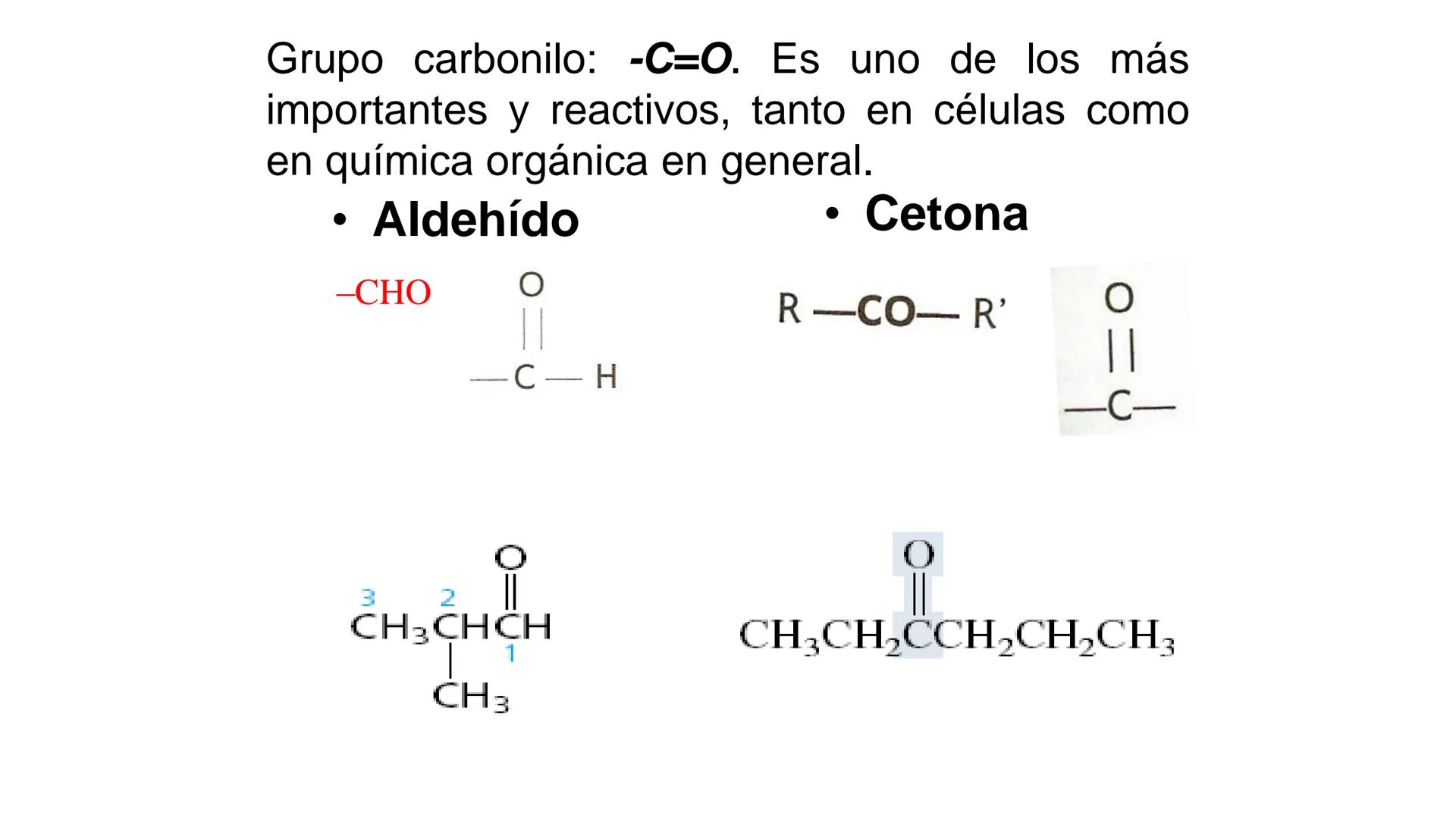 # Teoría Química Biológica
## Química Orgánica
(Temas 1 y 2) # Introducción a la Química
Orgánica
Química orgánica: estudia las
estructura