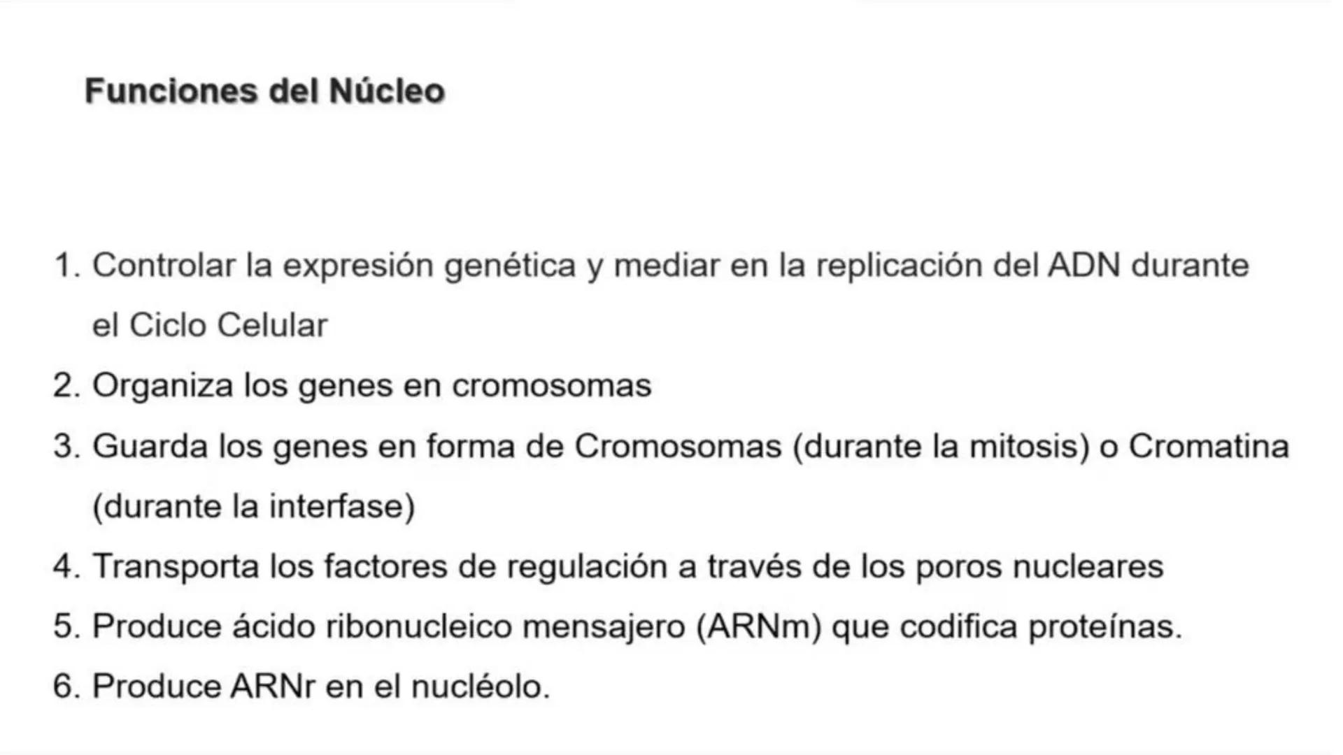 # HISTOLOGÍ
# CÉLULA
# CITOPLASMA
# NUCLEO
ANATOMÍA GENERAL E HISTOLOGÍ
CARRERA DE LIC. EN OBSTETRICIA # ¿Qué es la Histología?
Es la Ra