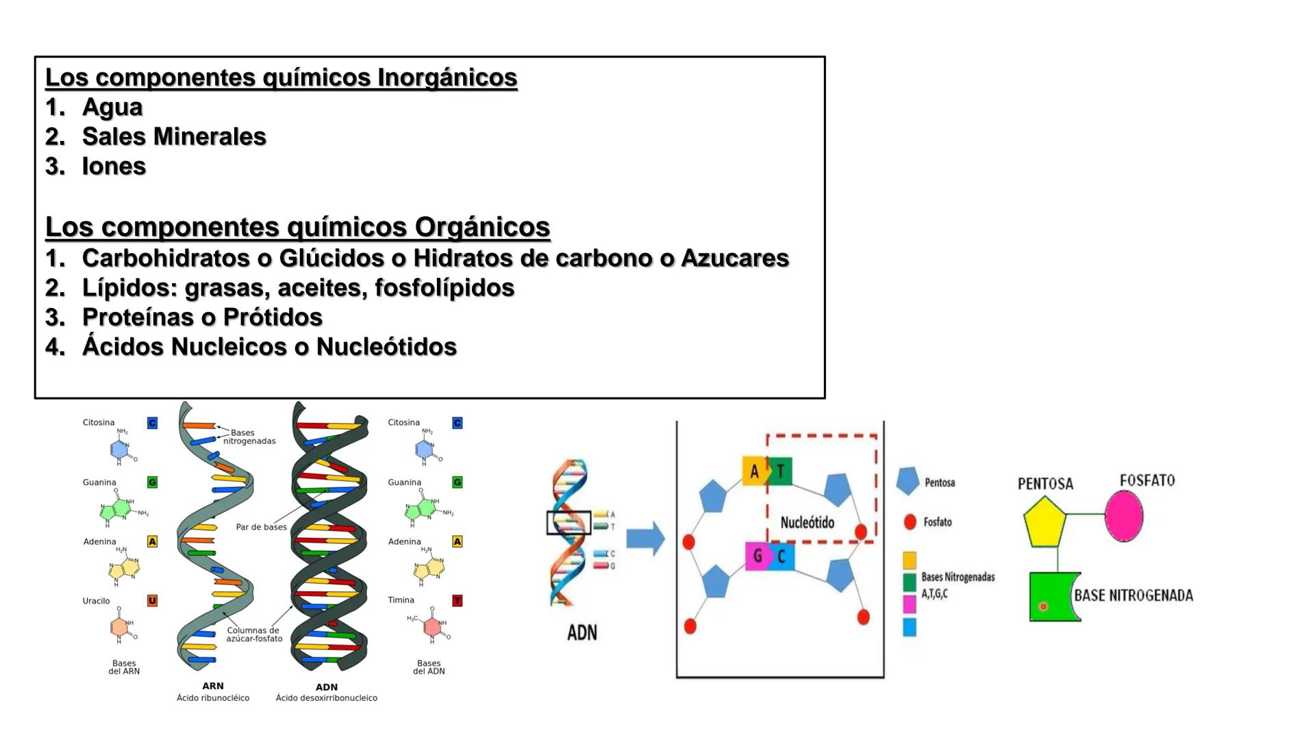 # HISTOLOGÍ
# CÉLULA
# CITOPLASMA
# NUCLEO
ANATOMÍA GENERAL E HISTOLOGÍ
CARRERA DE LIC. EN OBSTETRICIA # ¿Qué es la Histología?
Es la Ra