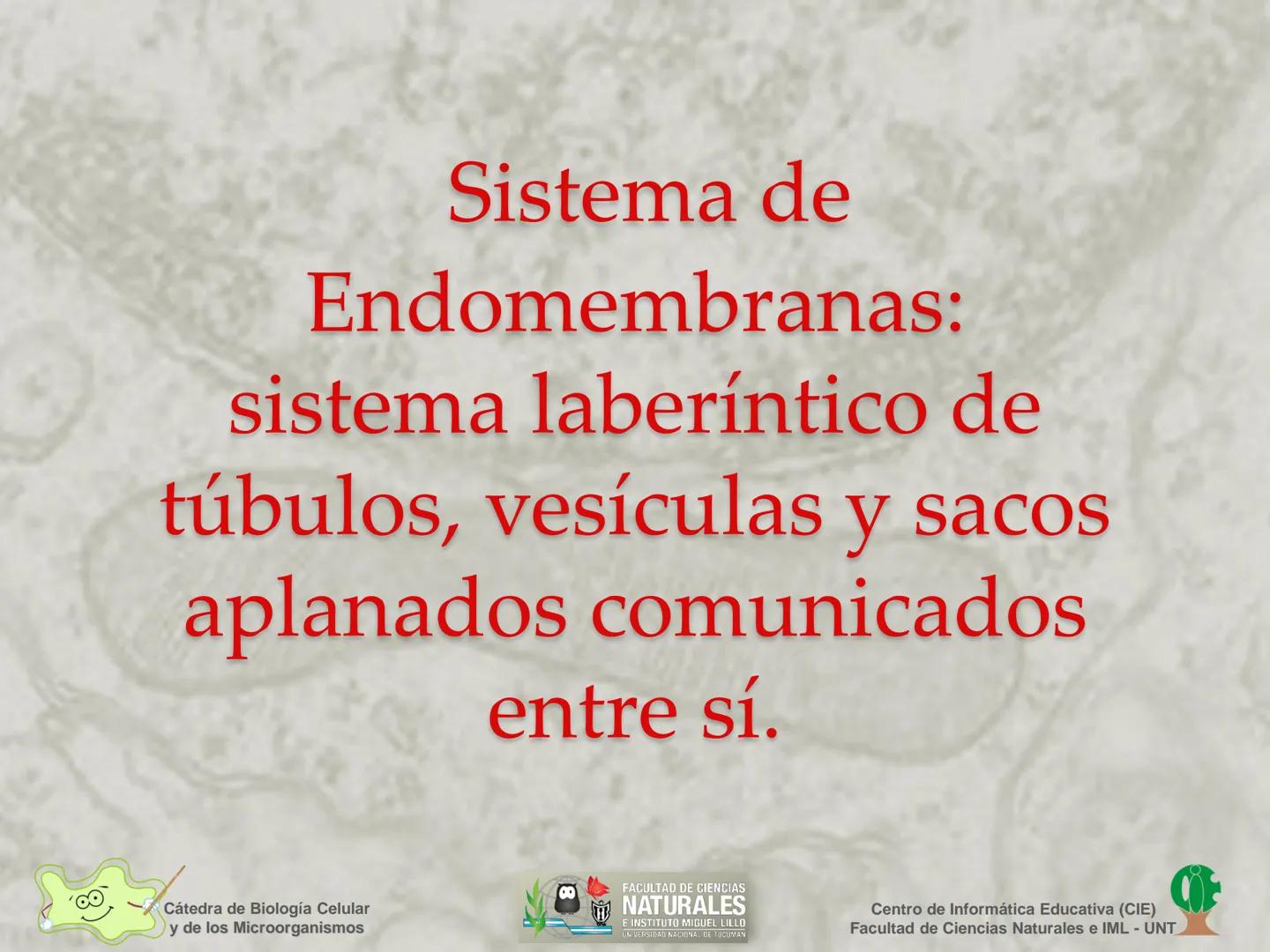 --- OCR Start ---
Cátedra de Biología Celular
y de los Microorganismos
Célula Eucariota
1
2
00
4
FACULTAD DE CIENCIAS
NATURALES
E INSTITUTO