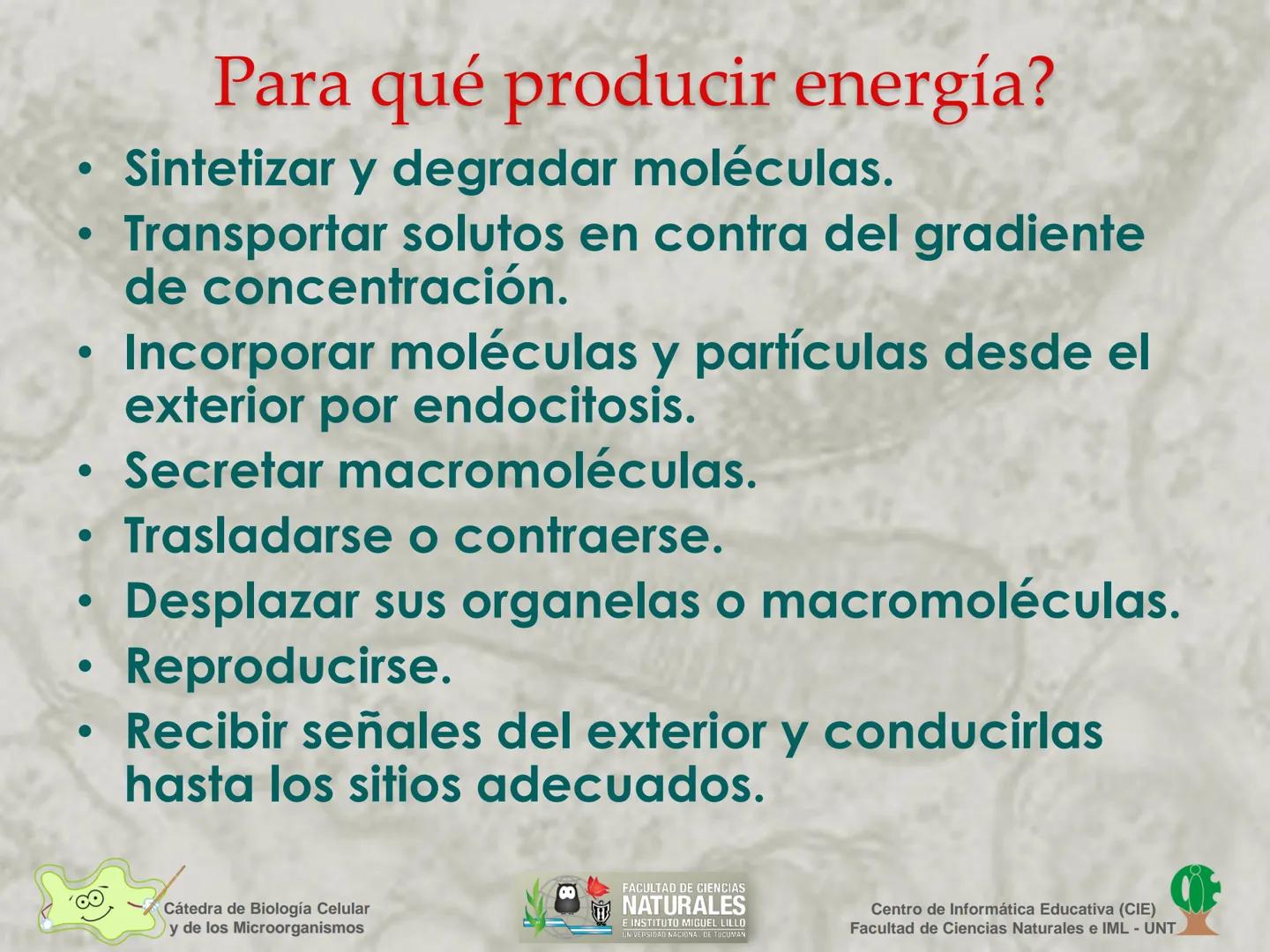--- OCR Start ---
Cátedra de Biología Celular
y de los Microorganismos
Célula Eucariota
1
2
00
4
FACULTAD DE CIENCIAS
NATURALES
E INSTITUTO